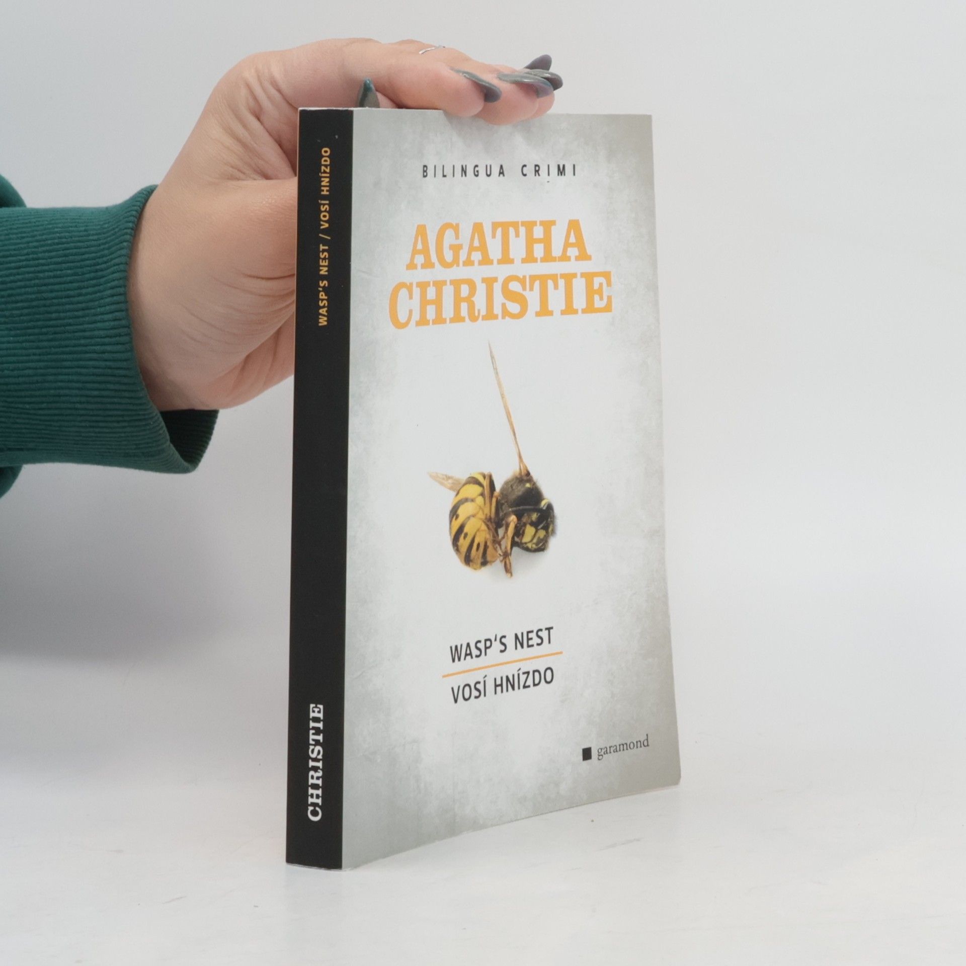 Wasp's Nest. Vosí hnízdo