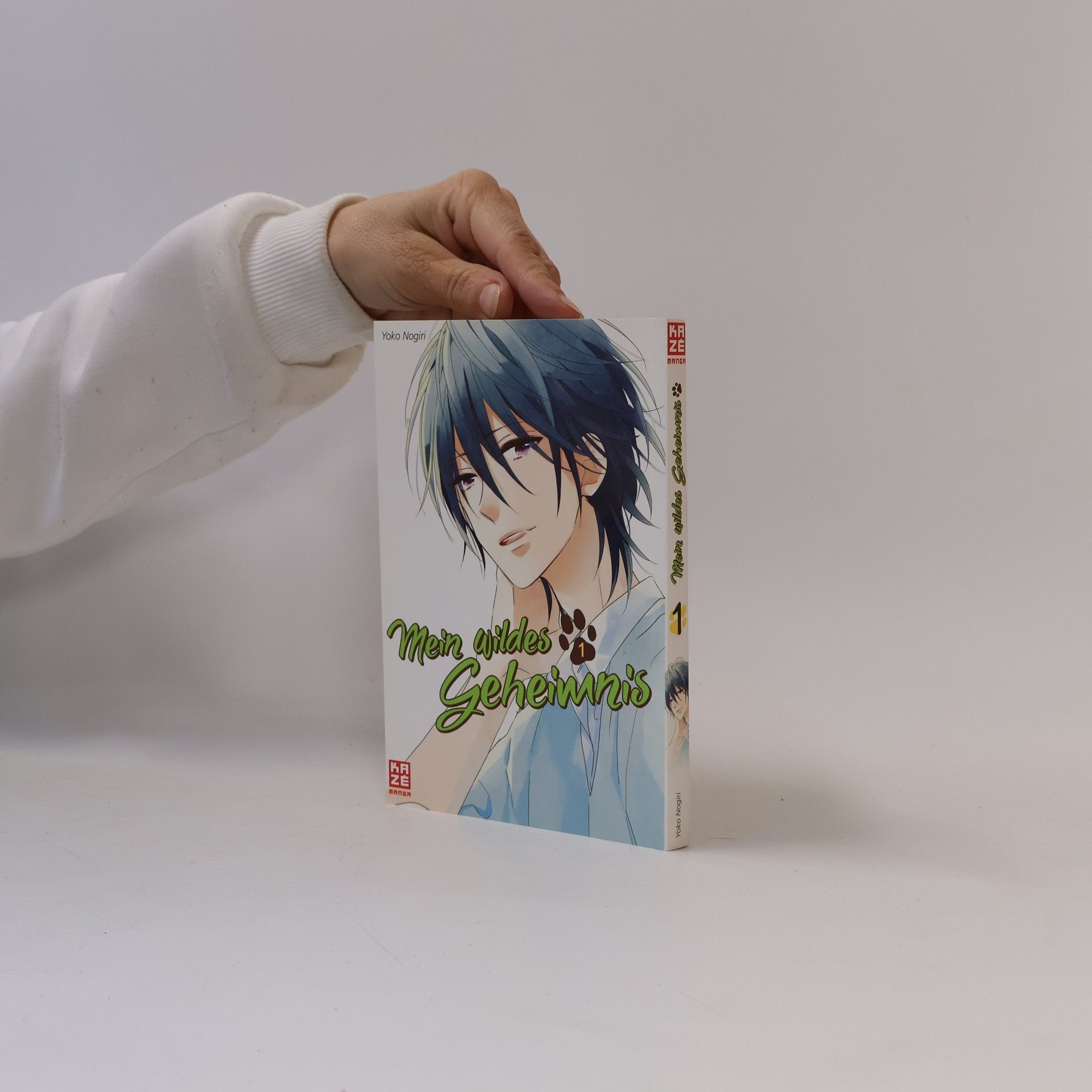 Yoko Nogiri Mein wildes Geheimnis 1