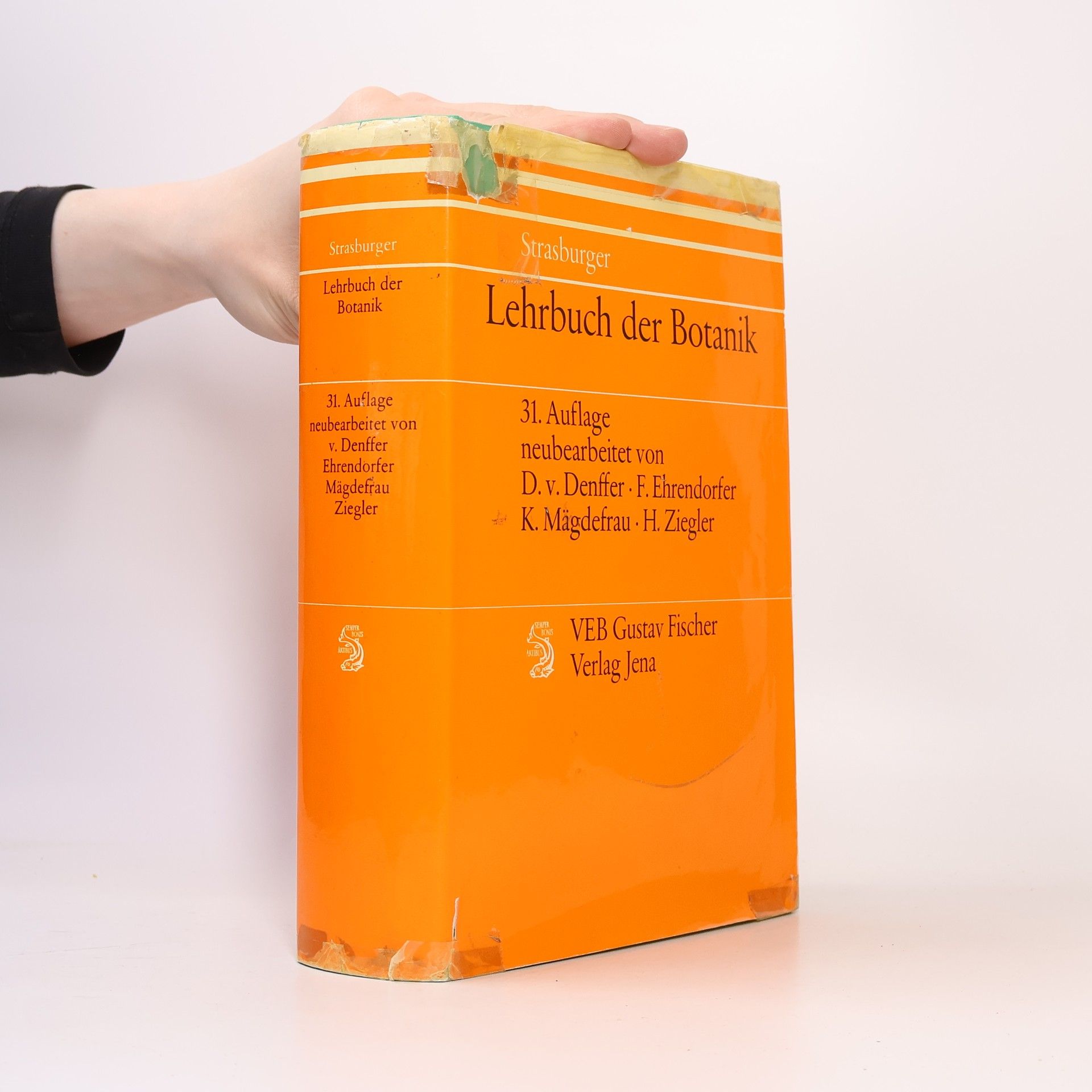 Collectif d'auteurs Lehrbuch der Botanik