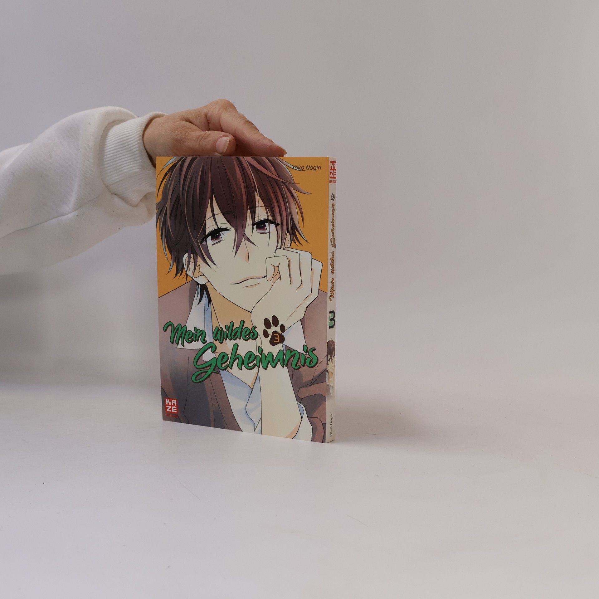 Yoko Nogiri Mein wildes Geheimnis 3