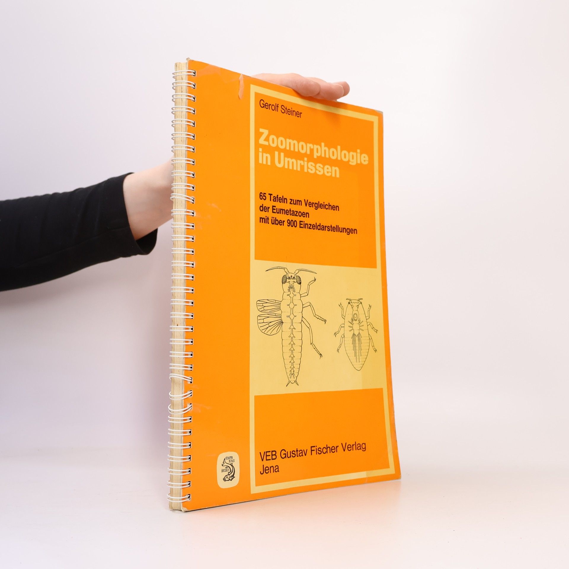 Gerolf Steiner Zoomorphologie in Umrissen
