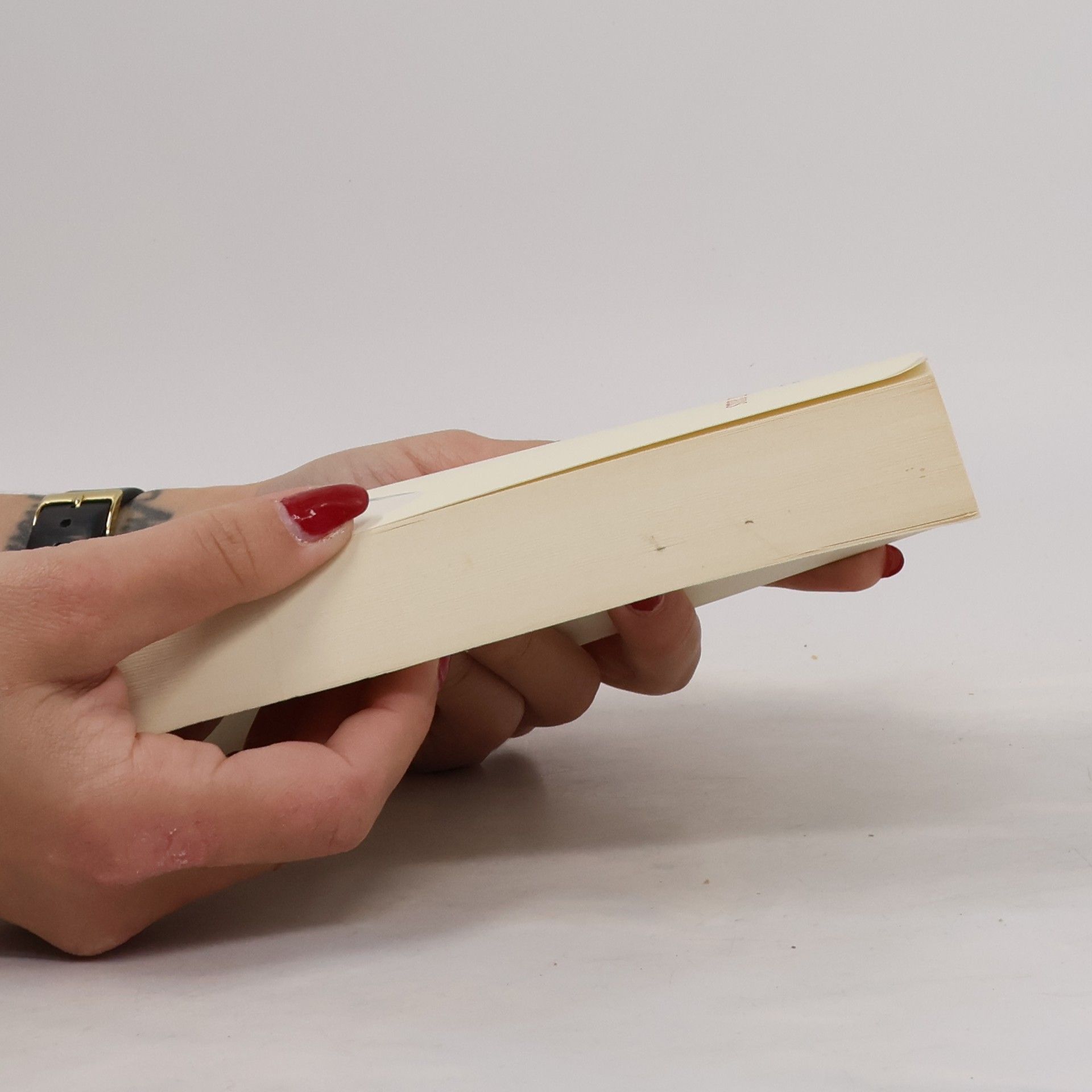 Irene Dische Grossmama packt aus