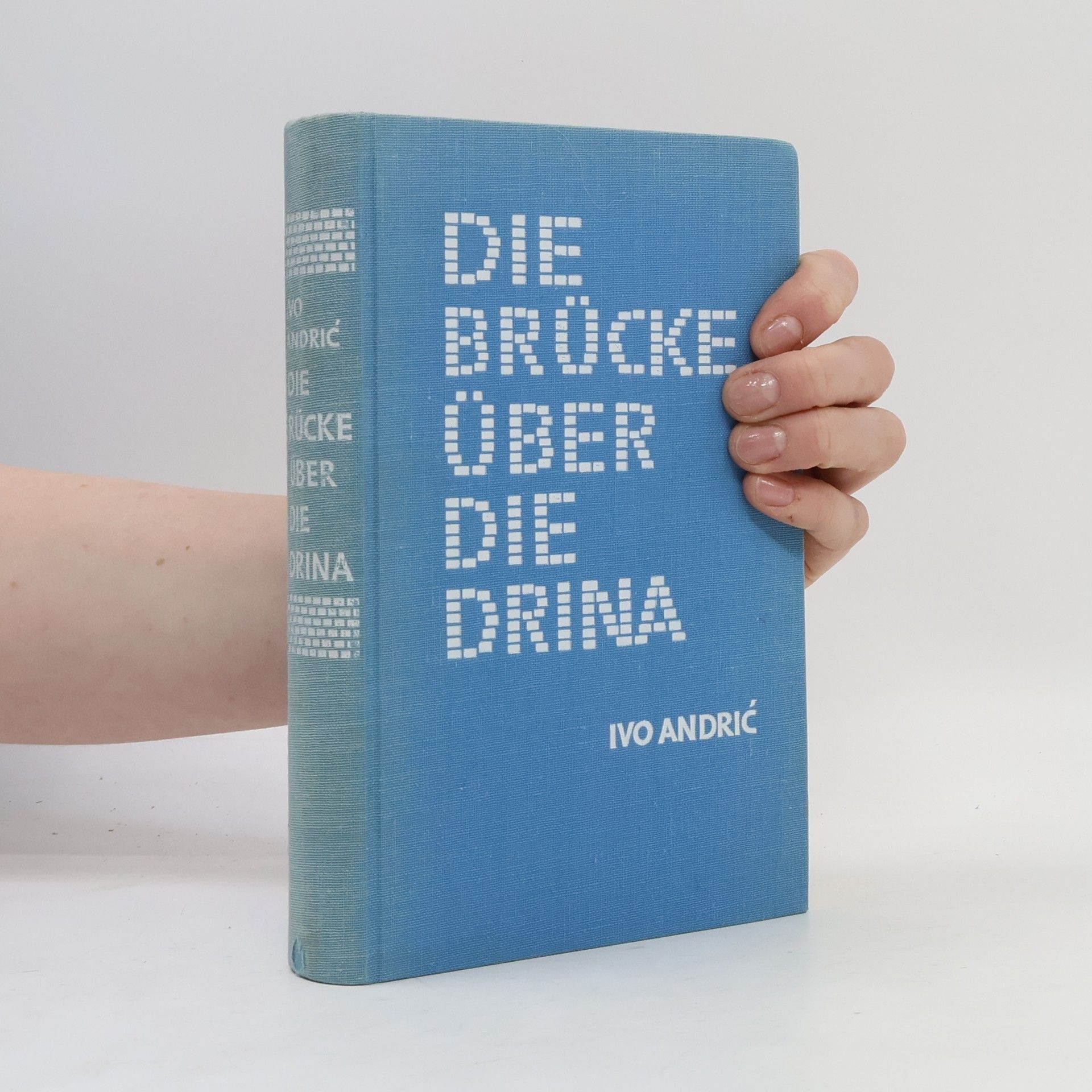 Ivo Andrić Die Brücke über die Drina