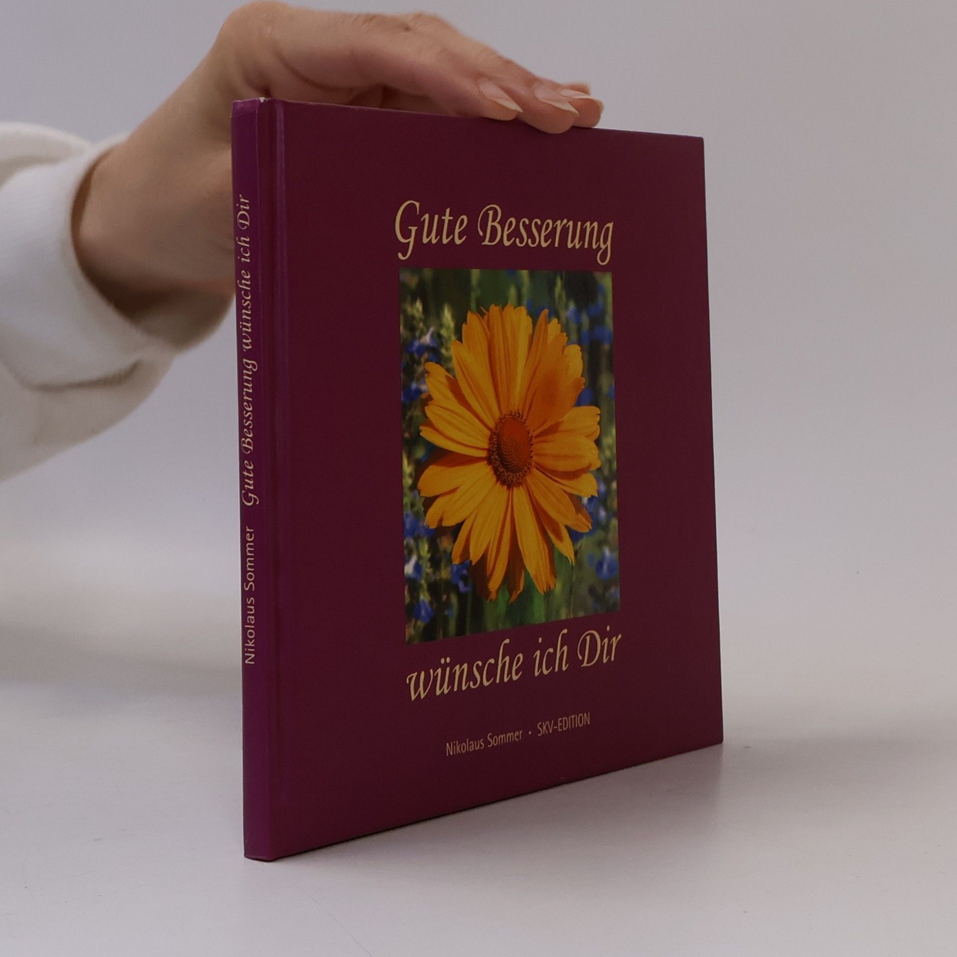 Gute Besserung wünsche ich Dir.