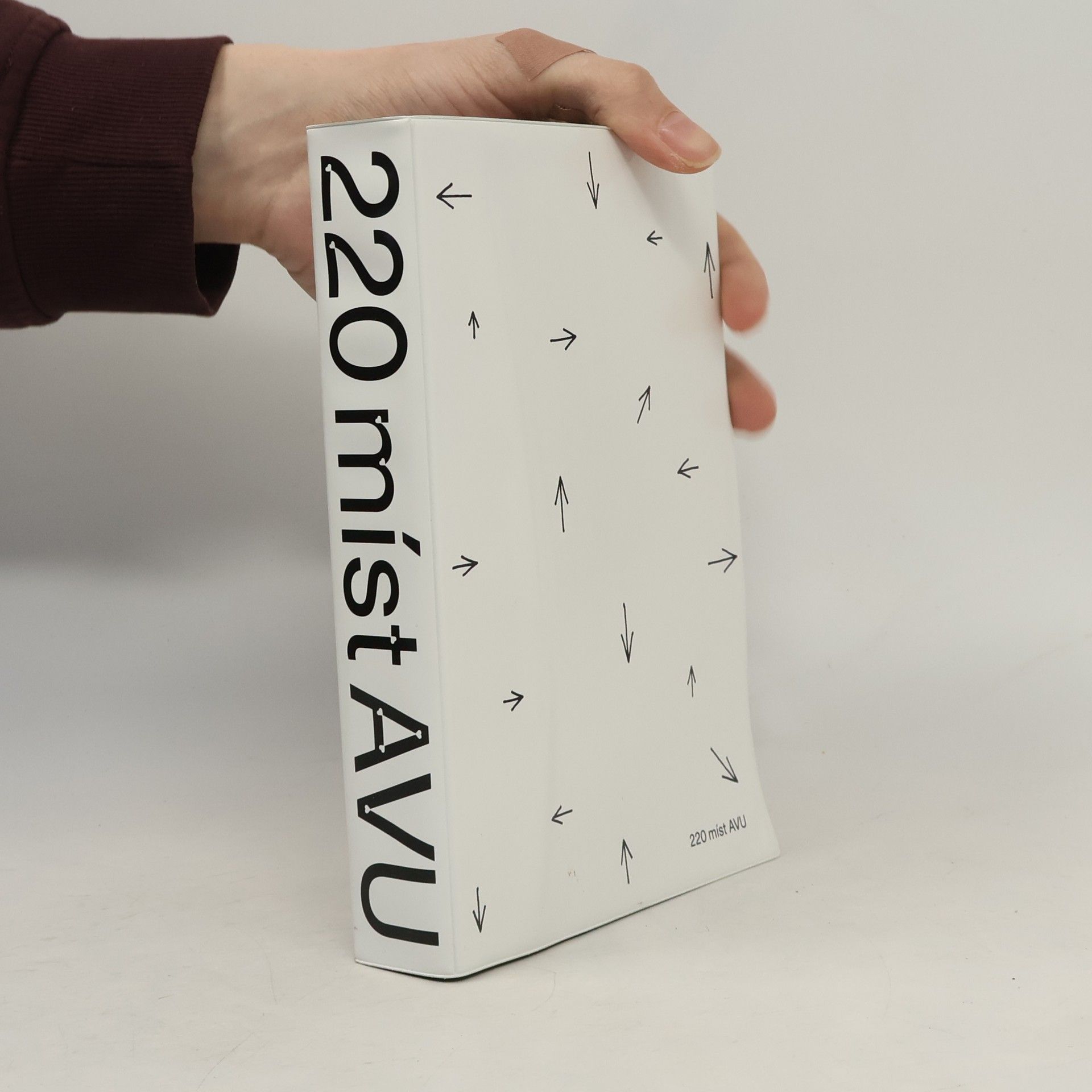 Dagmar Svatošová 220 míst AVU