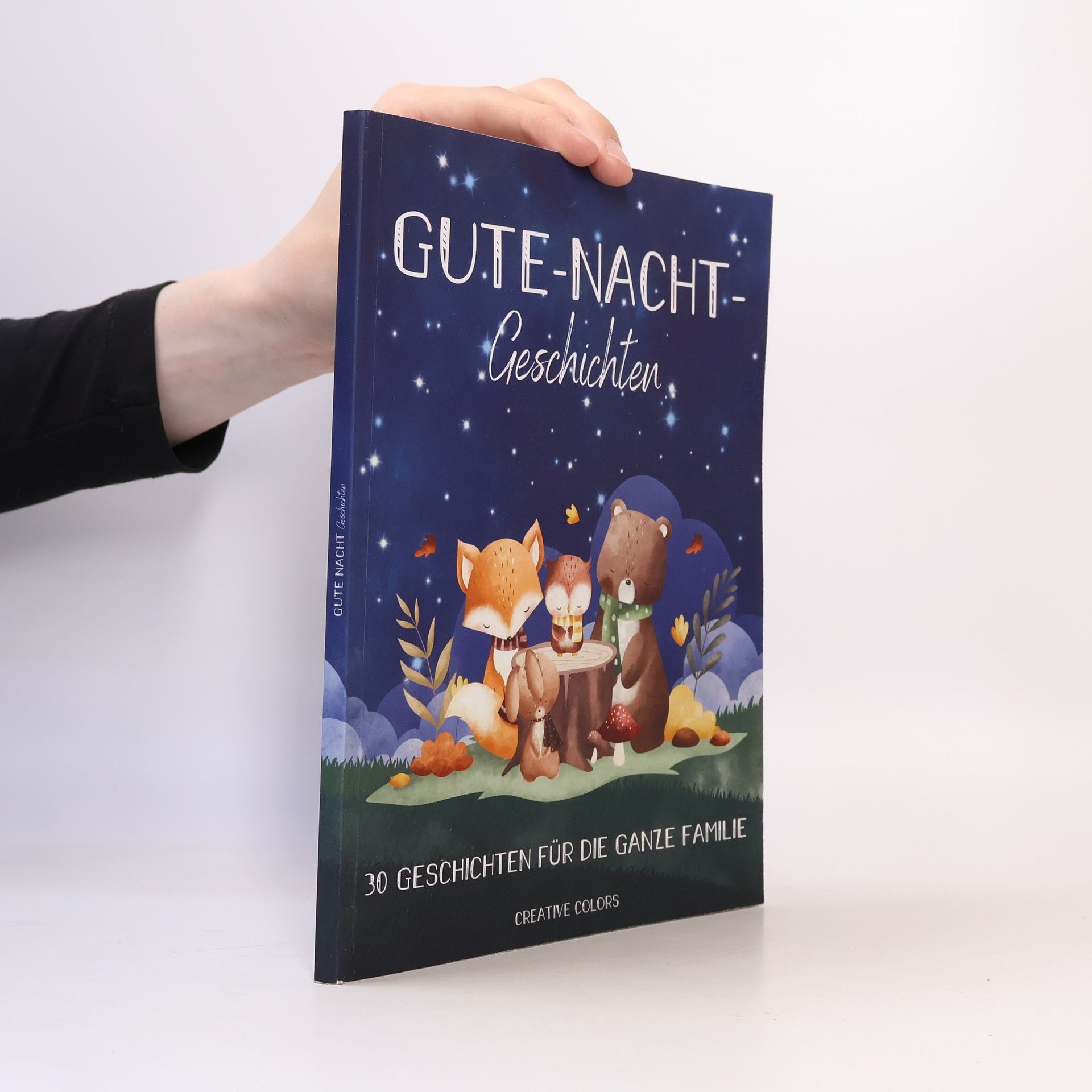 Kolektív autorov Gute Nacht Geschichten