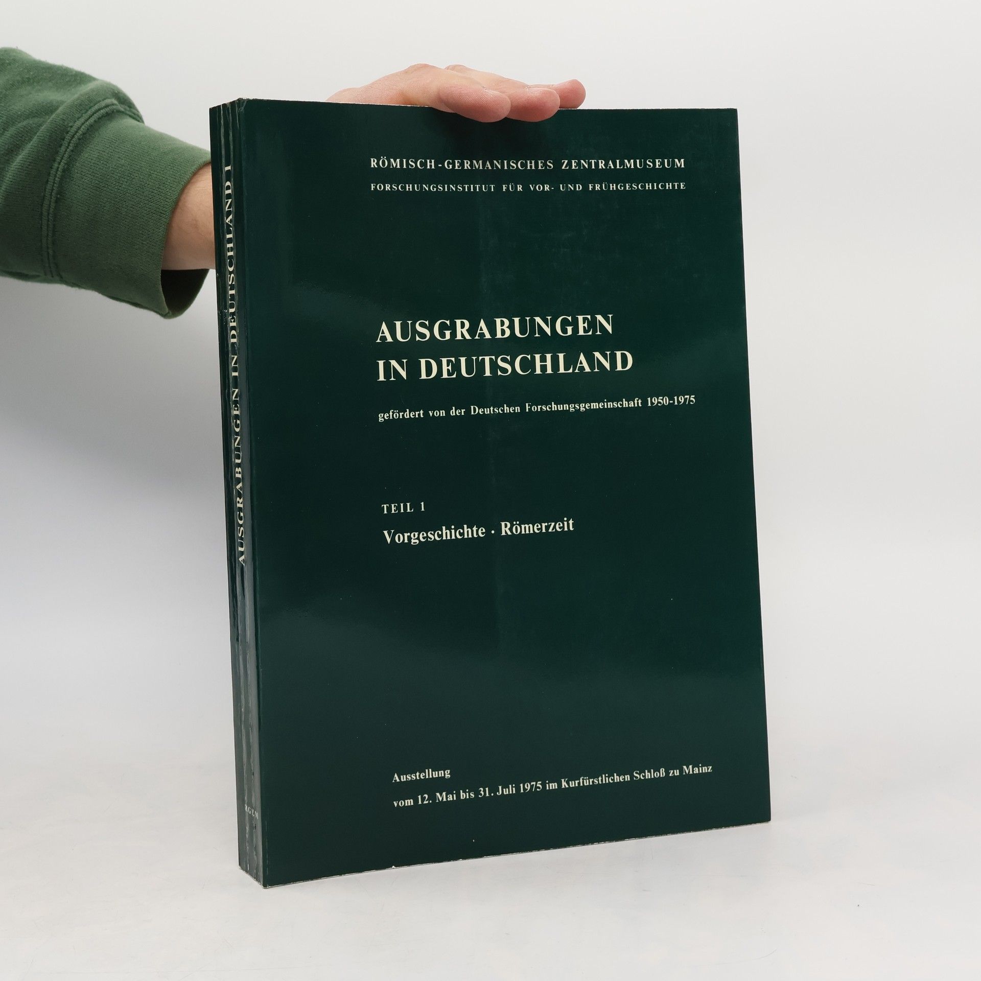 Kolektiv autorů Ausgrabungen in Deutschland