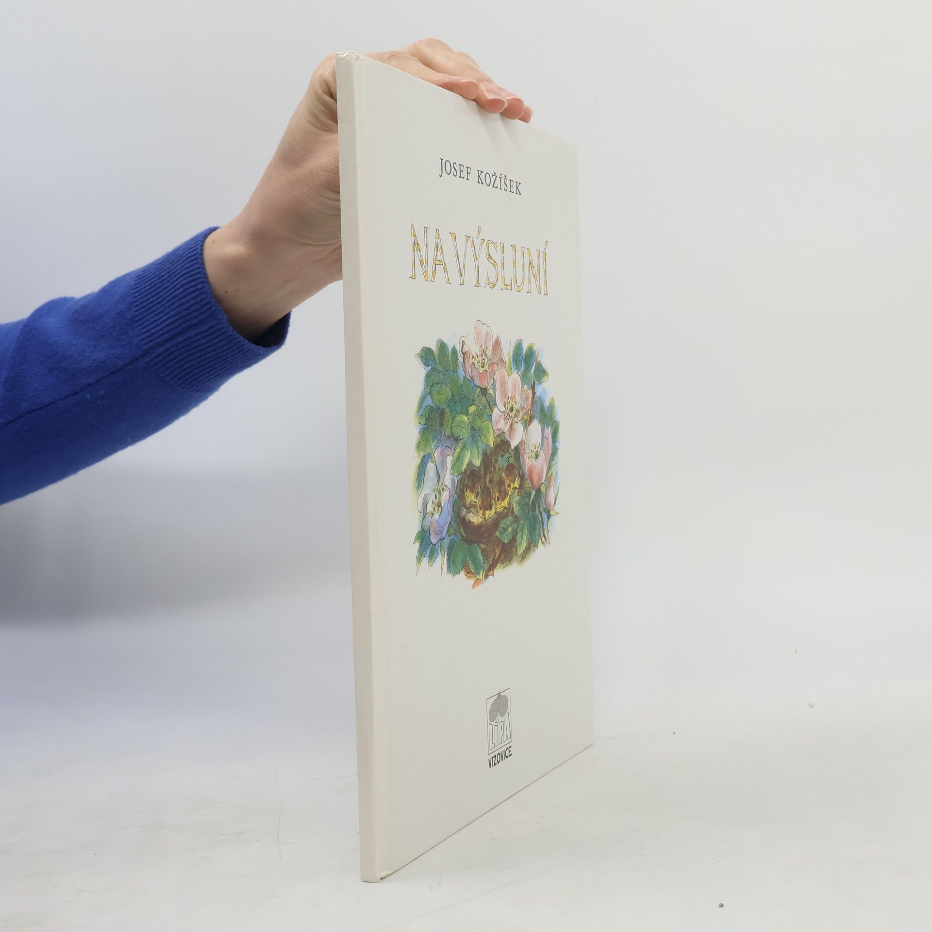 Josef Kožíšek Na výsluní