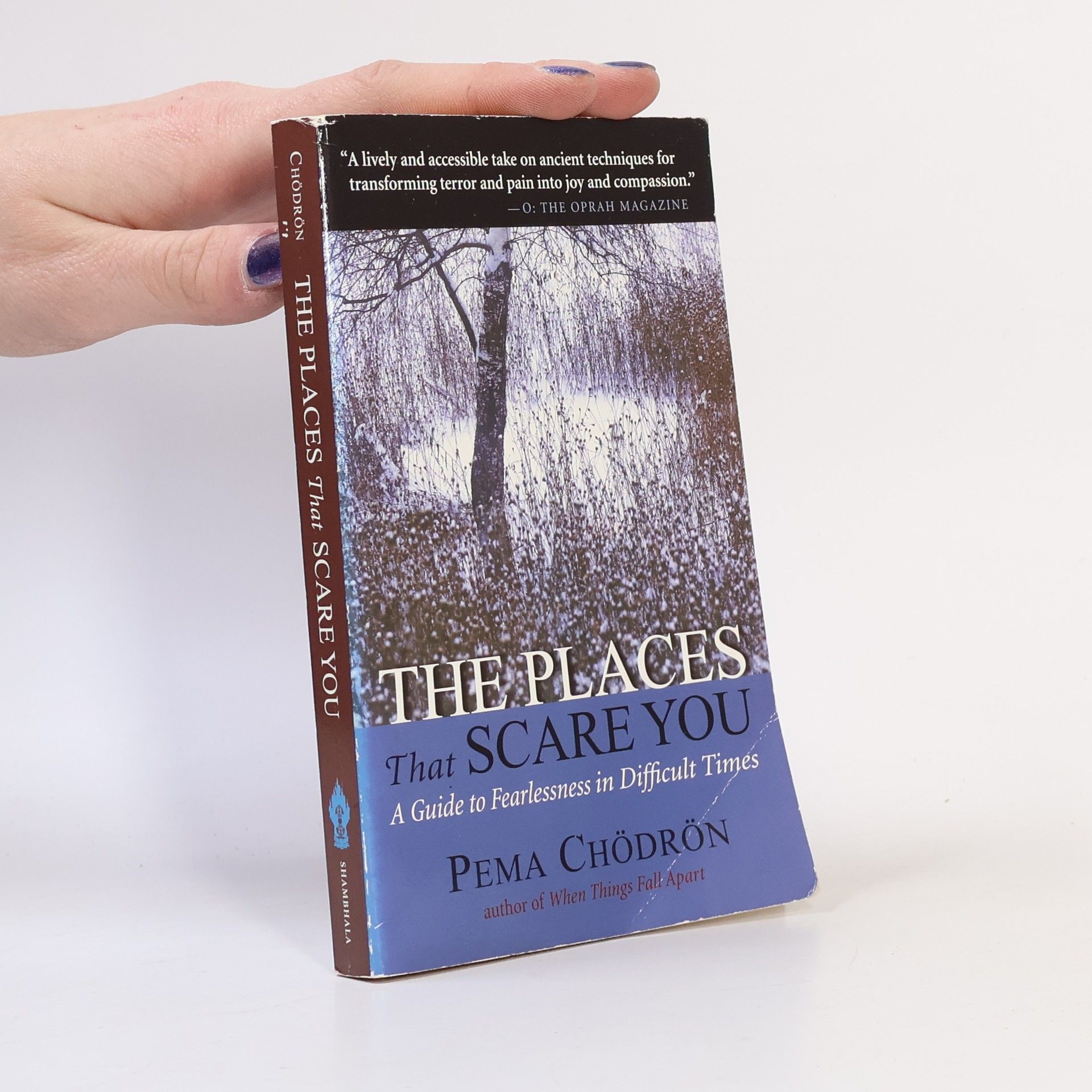 Pema Chödrön The Places That Scare You