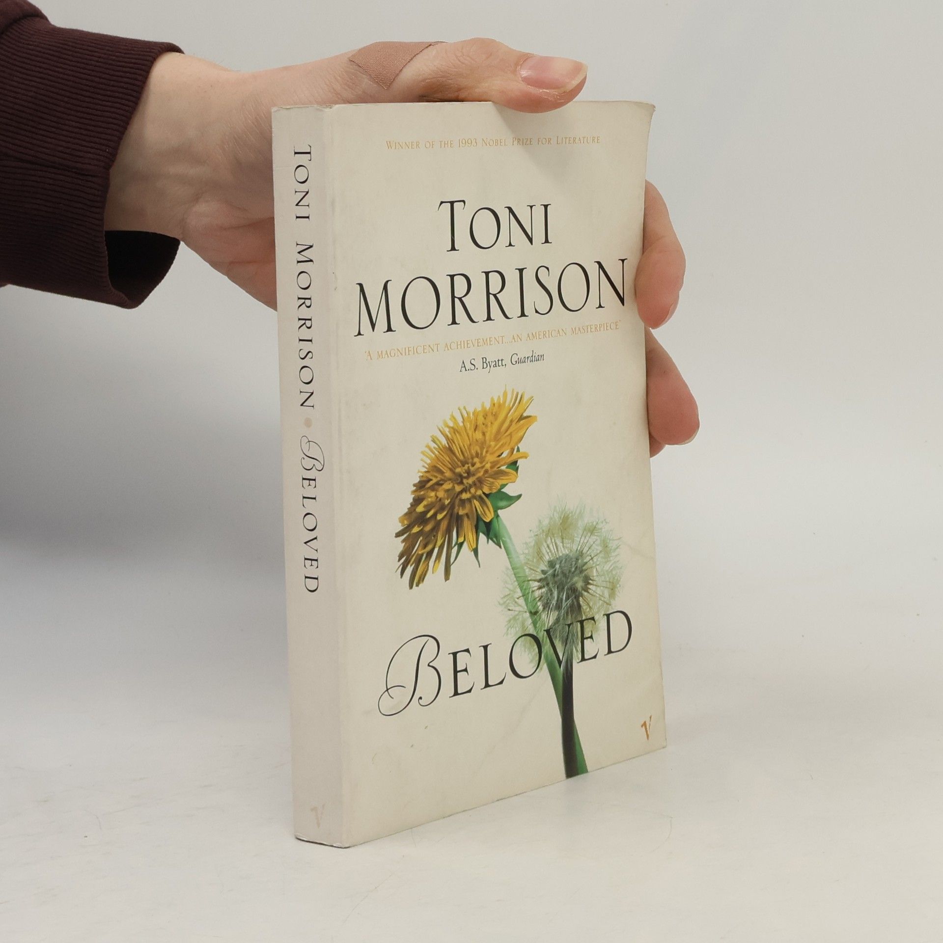 Toni Morrison Beloved