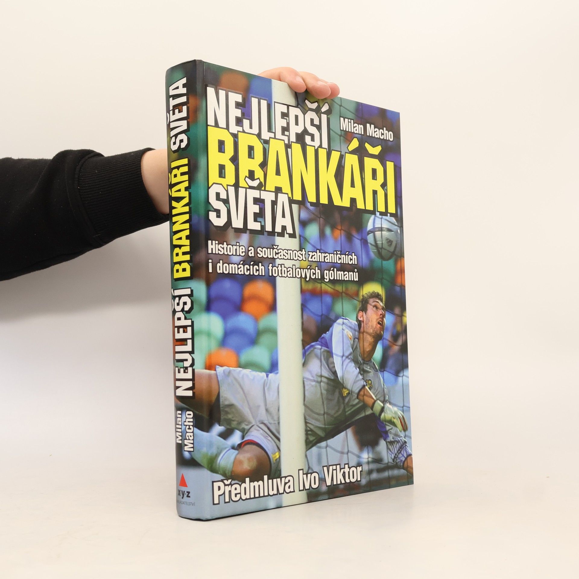 Nejlepší brankáři světa : historie a současnost zahraničních i domácích fotbalových gólmanů