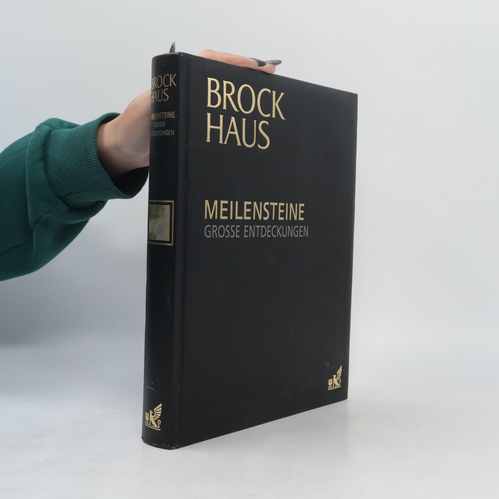 Collectif d'auteurs Meilensreine. Grosse Entdeckungen
