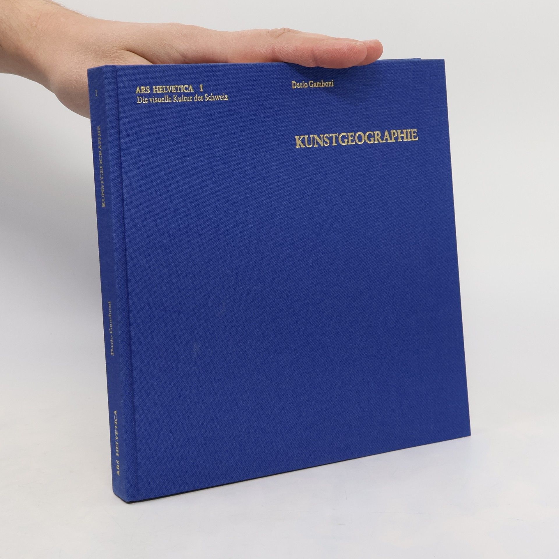 Dario Gamboni Kunstgeographie