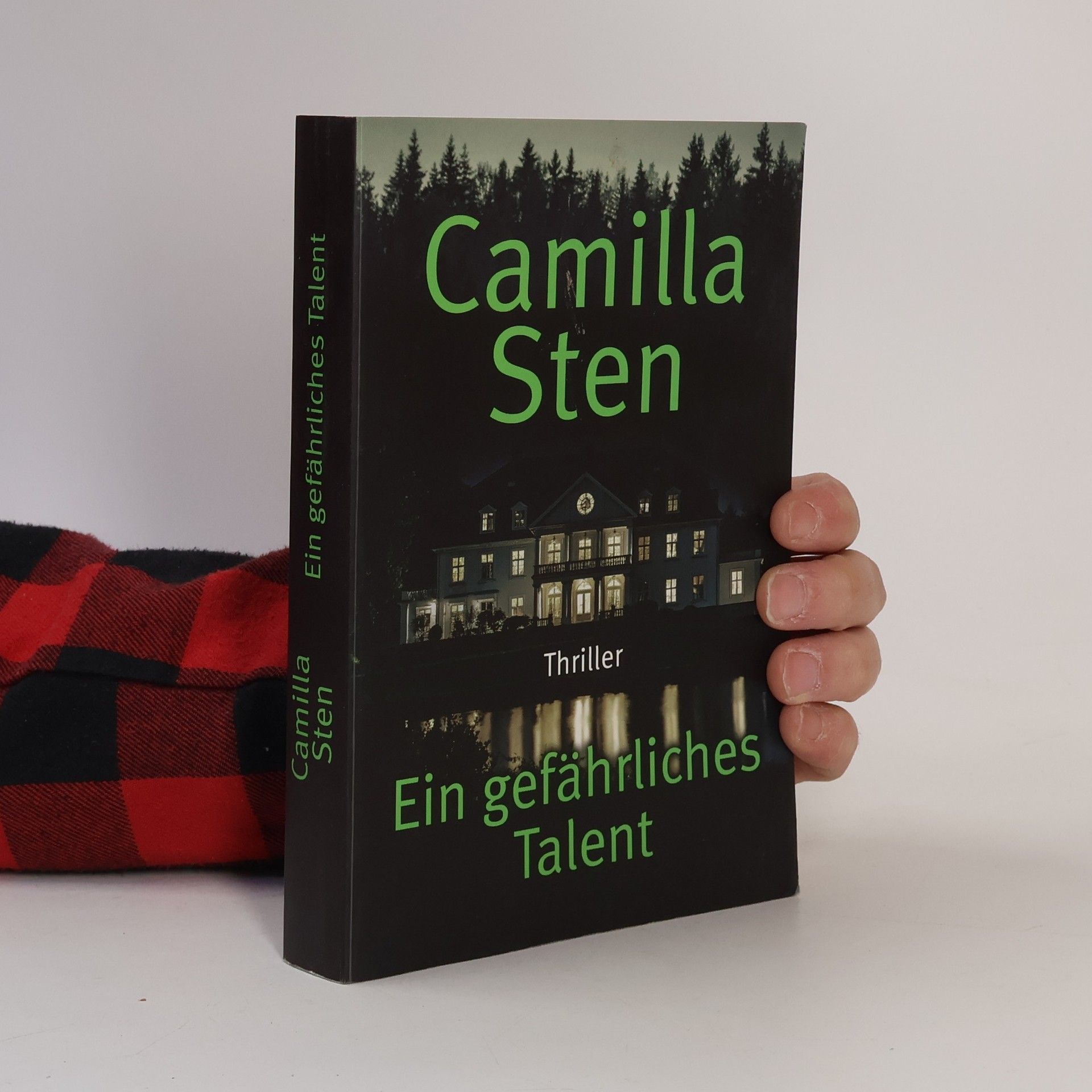 Camilla Sten Ein gefährliches Talent