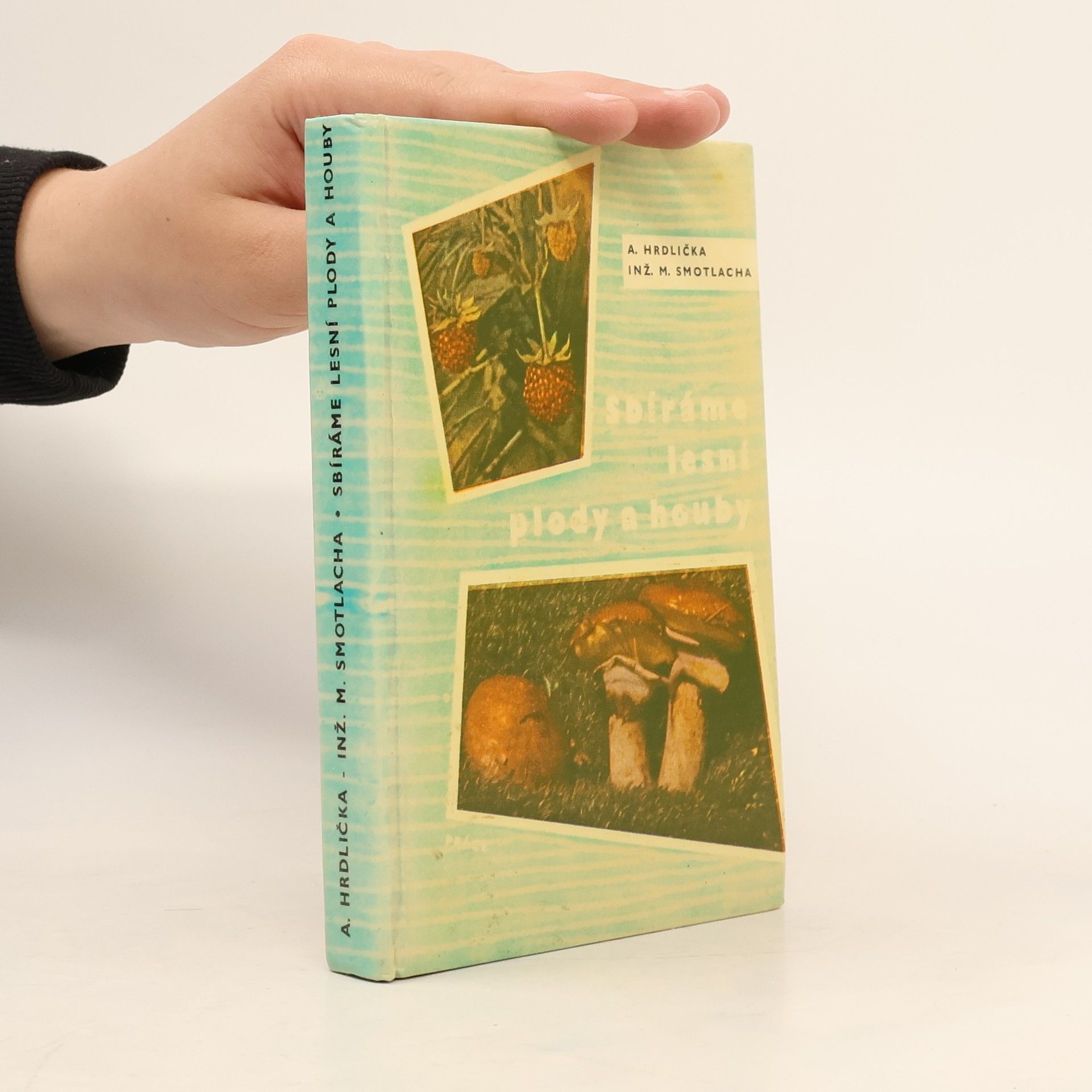 Antonín Hrdlička Sbíráme lesní plody a houby