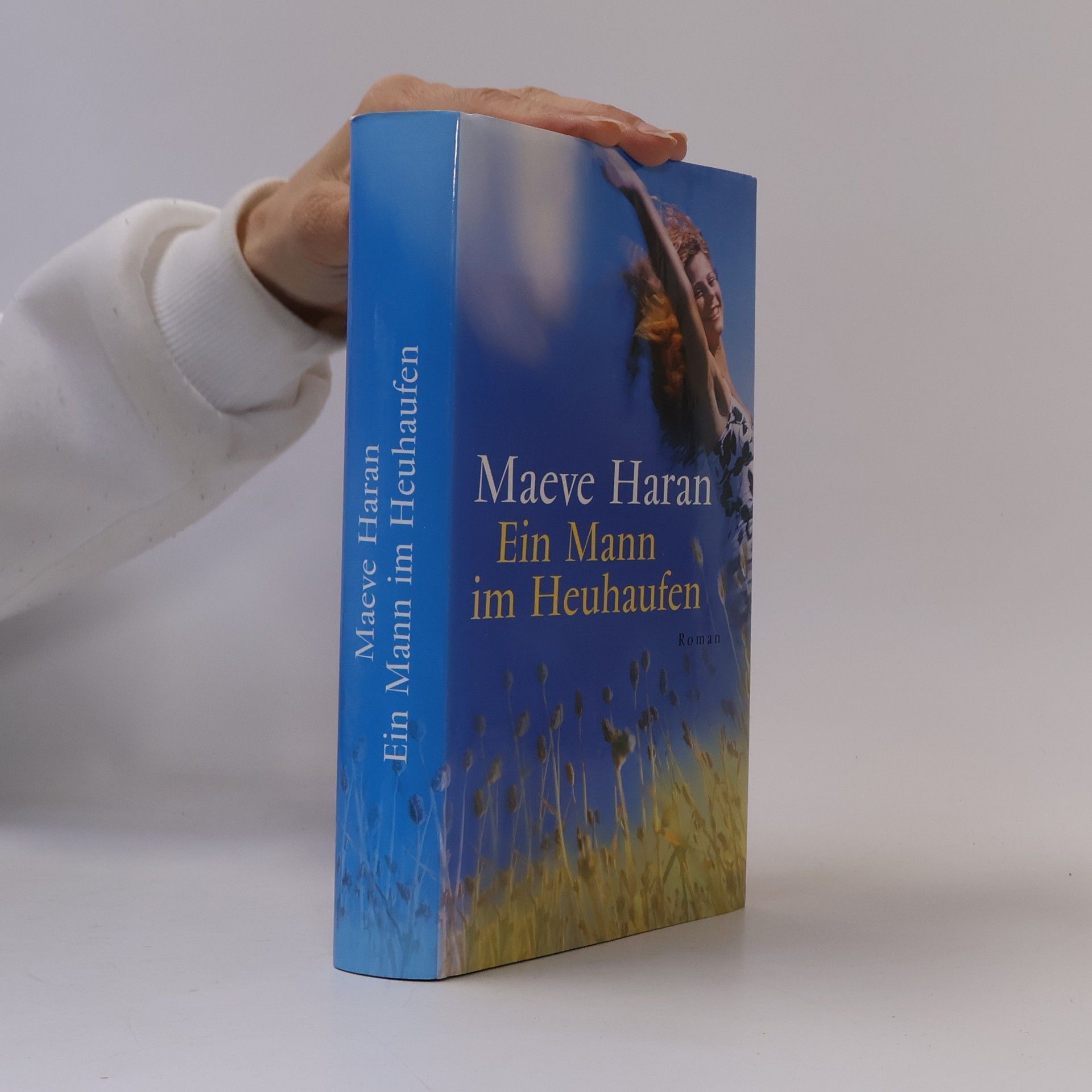 Maeve Haran Ein Mann im Heuhaufen