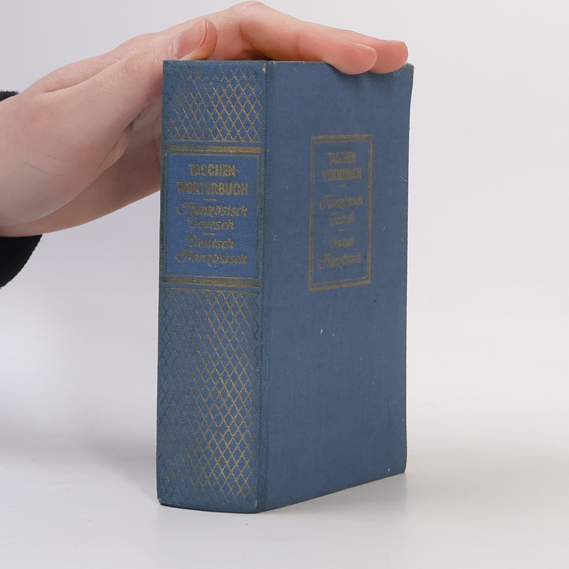 Französisches Taschenwörterbuch