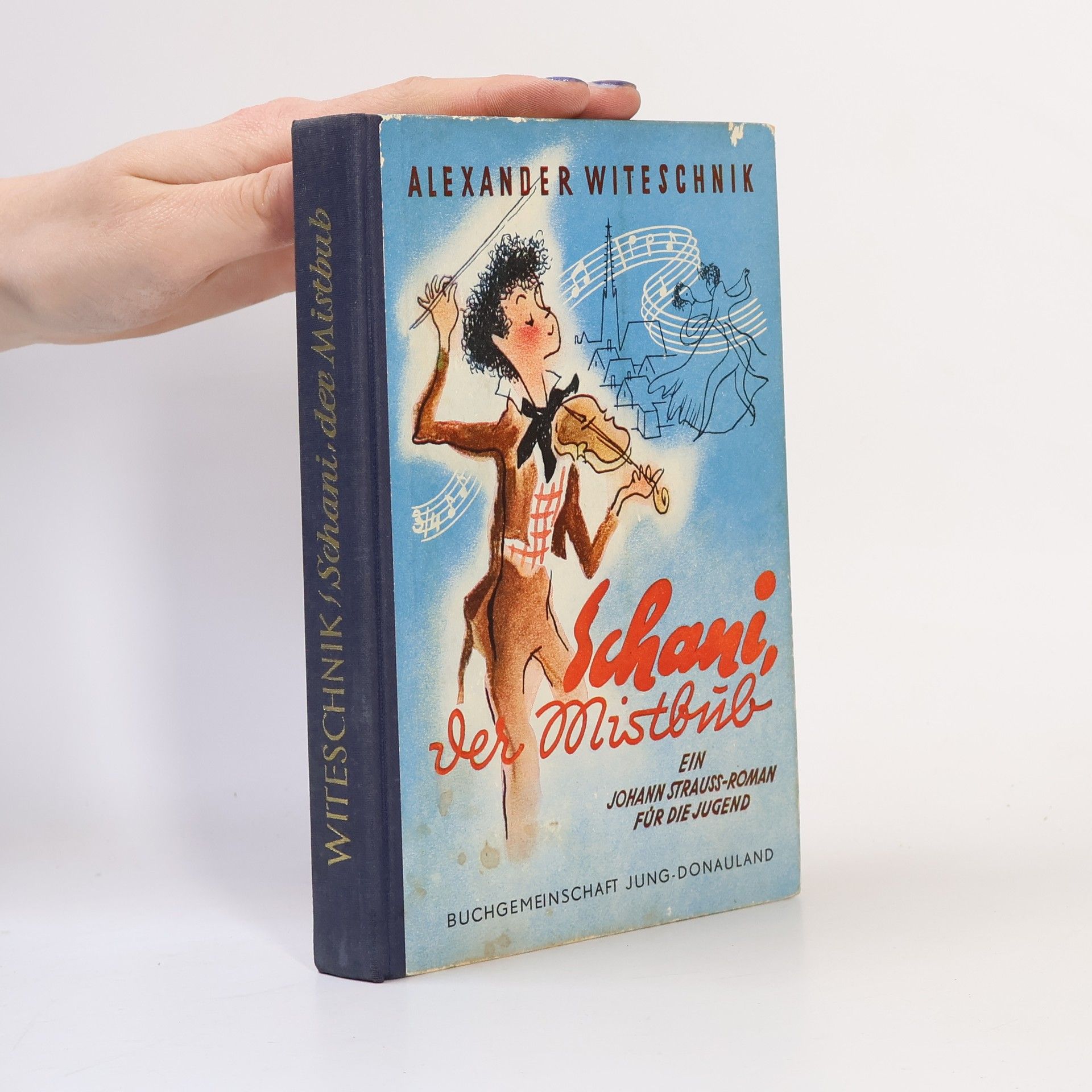 Schani, der Mistbub