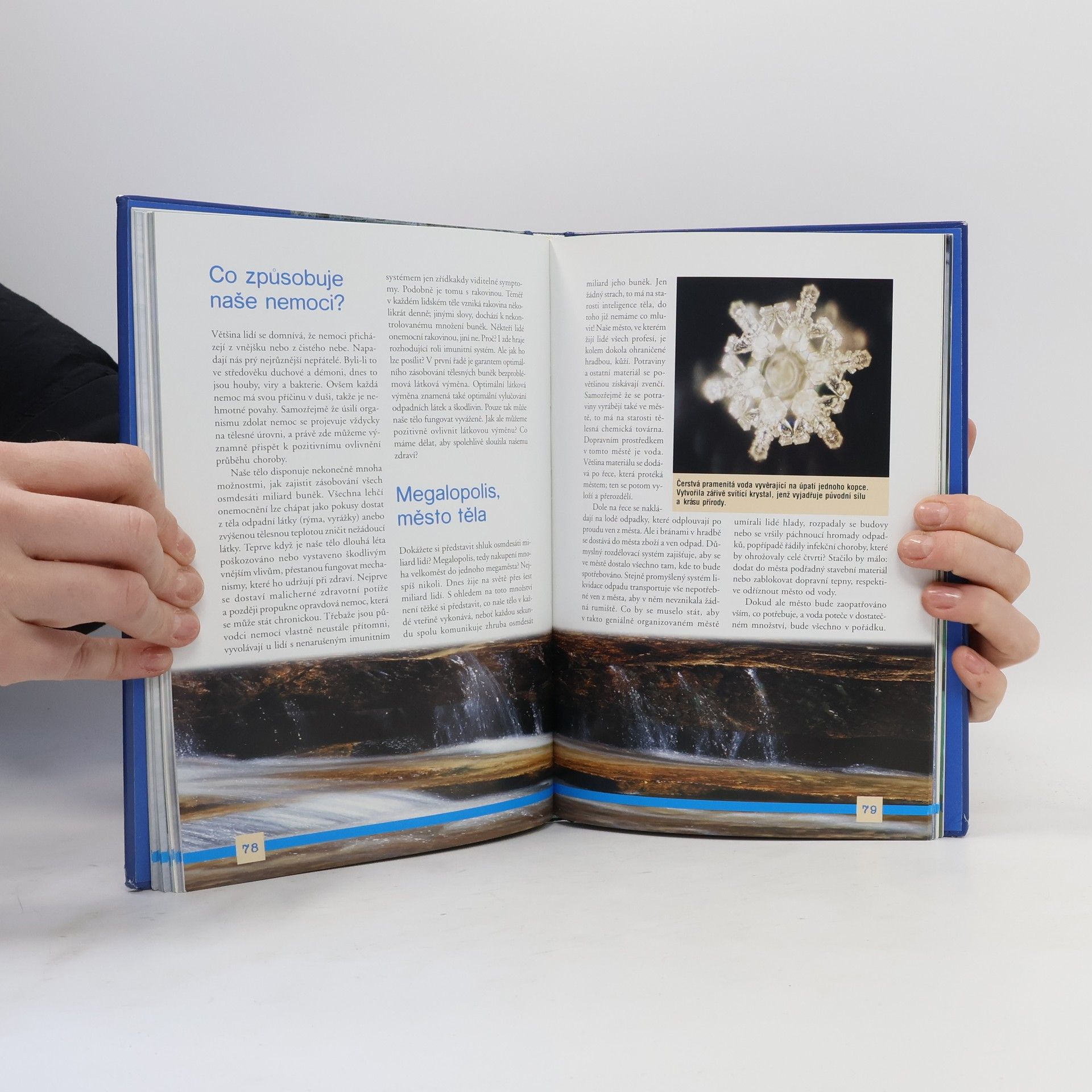 Masaru Emoto Léčivá síla vody