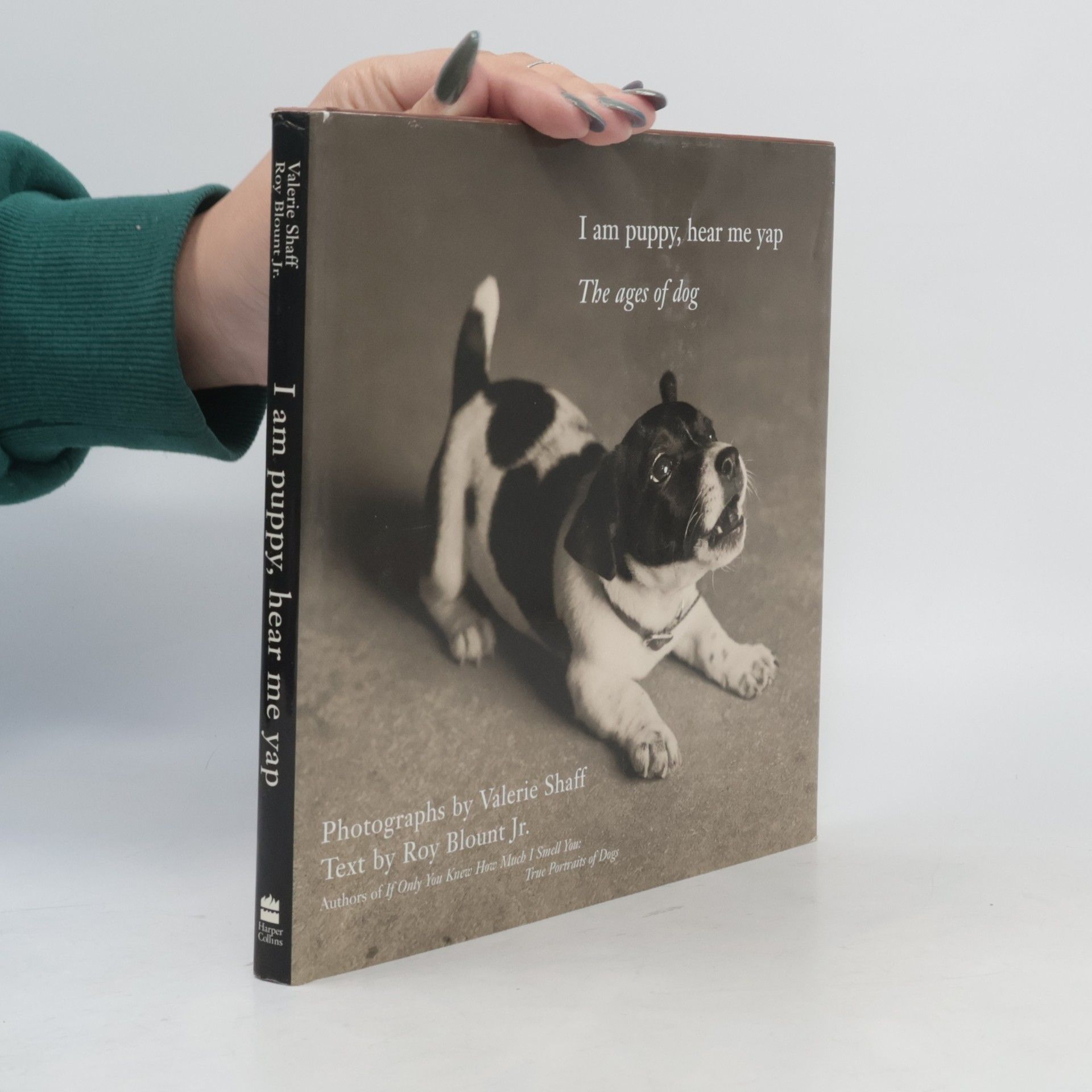 Valerie Shaff I Am Puppy Hear Me Yap