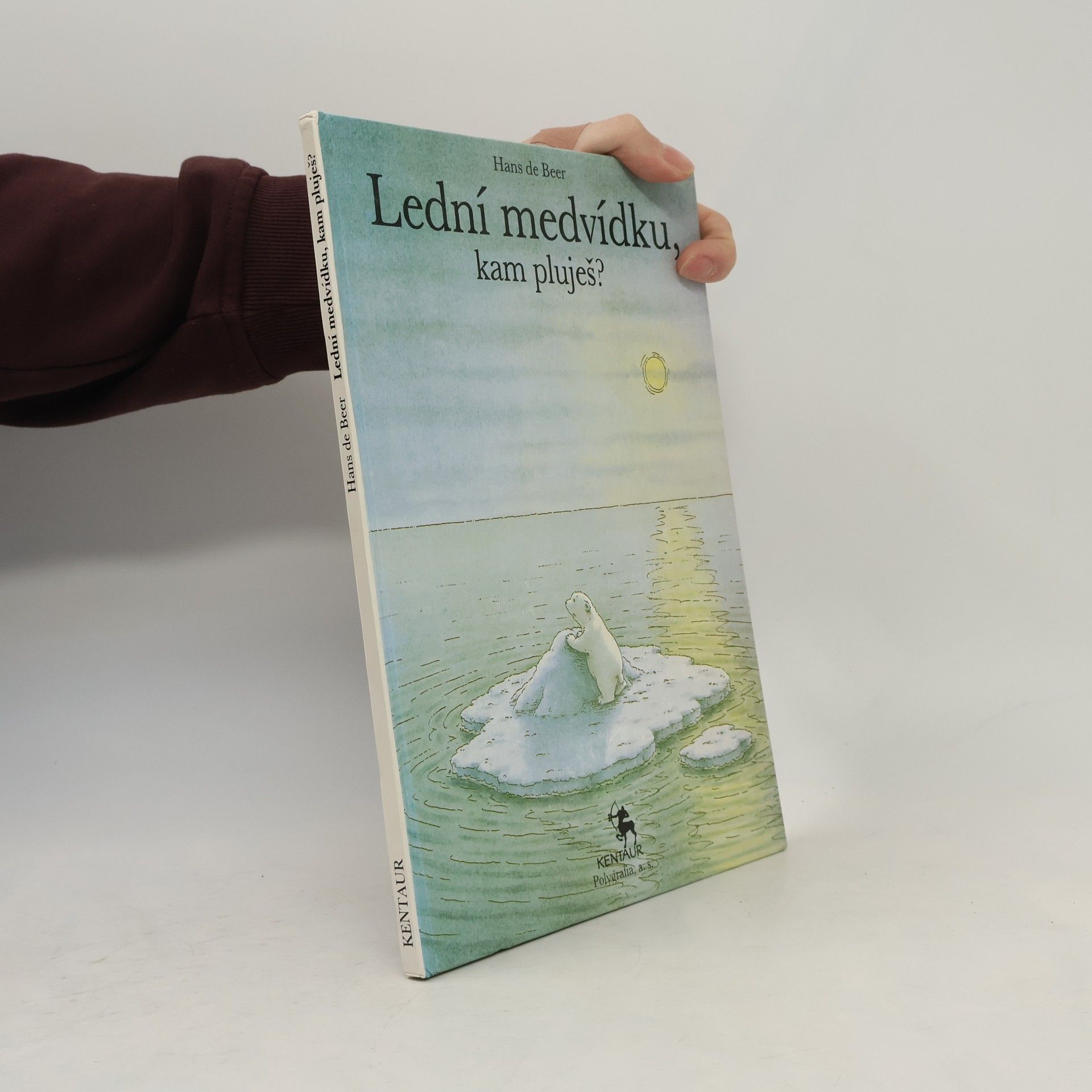 Hans de Beer Lední medvídku, kam pluješ?