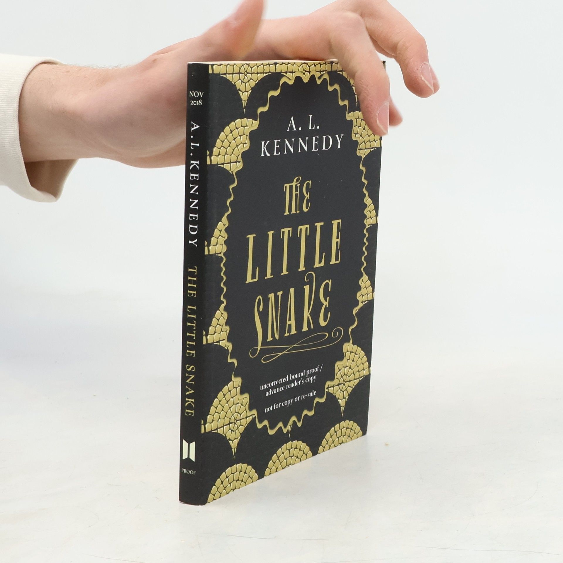 A. L. Kennedy The Little Snake