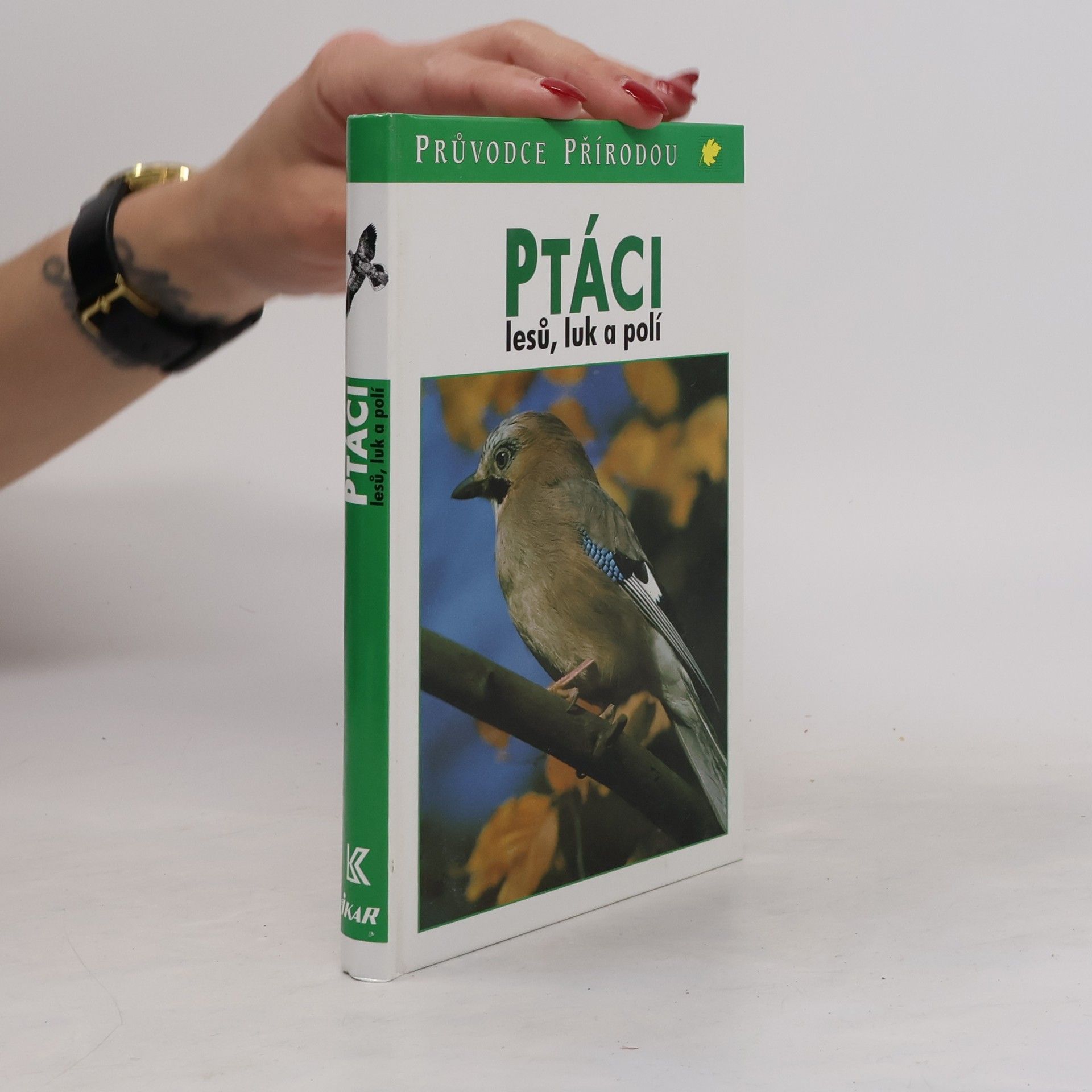 Frieder Sauer Ptáci lesů, luk a polí