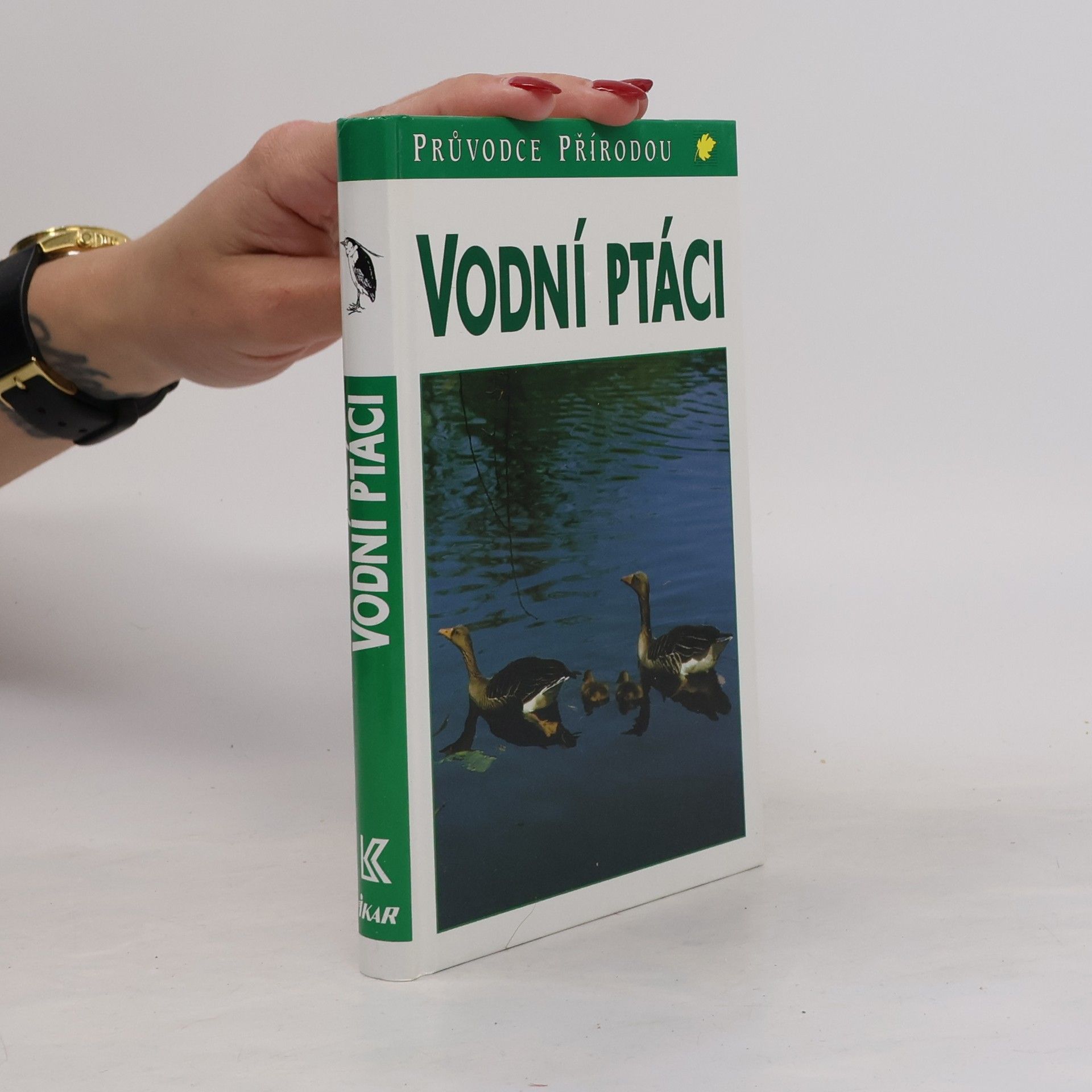 Friedhelm Sauer Vodní ptáci