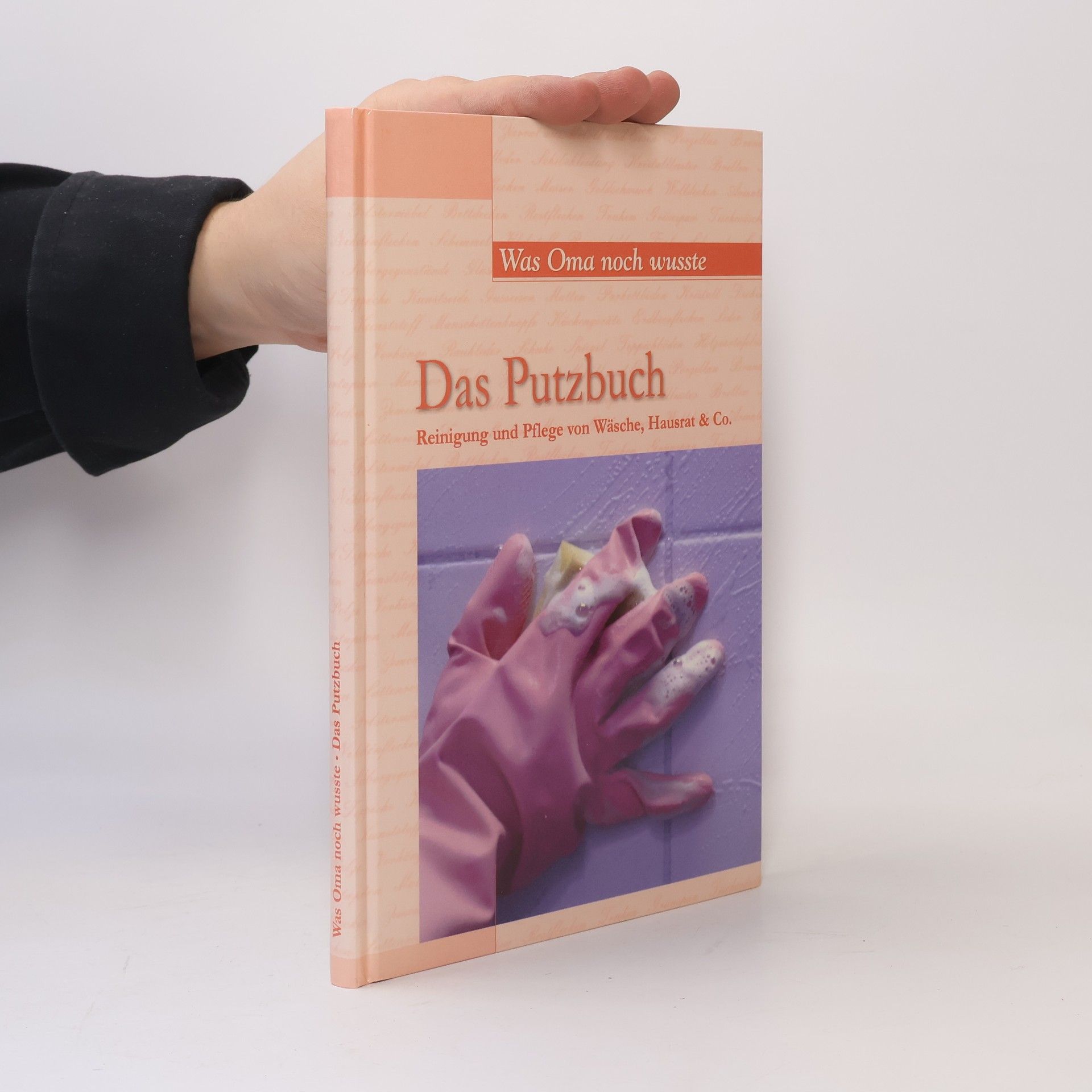 Autorenkollektiv Das Putzbuch