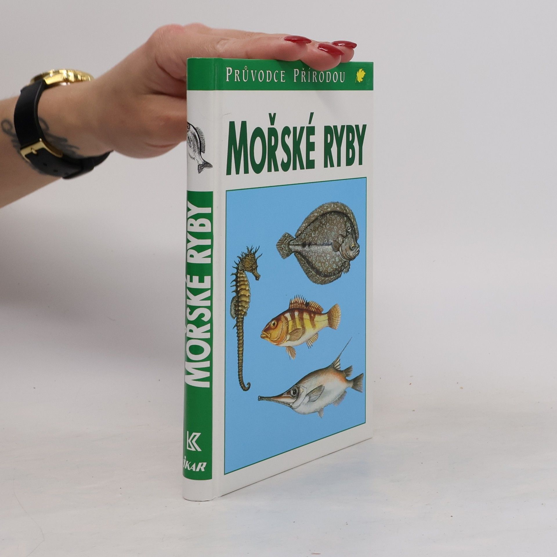 Sauer Frieder Mořské ryby v evropských vodách