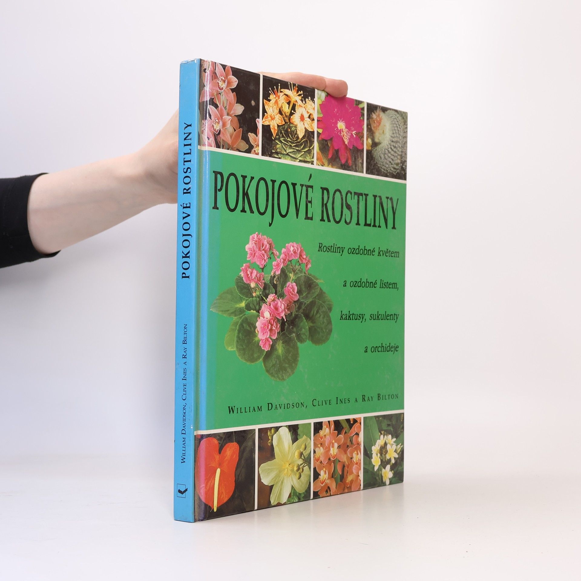 Ray Bilton Pokojové rostliny: Rostliny ozdobné květem a ozdobné listem, kaktusy, sukulenty a orchideje