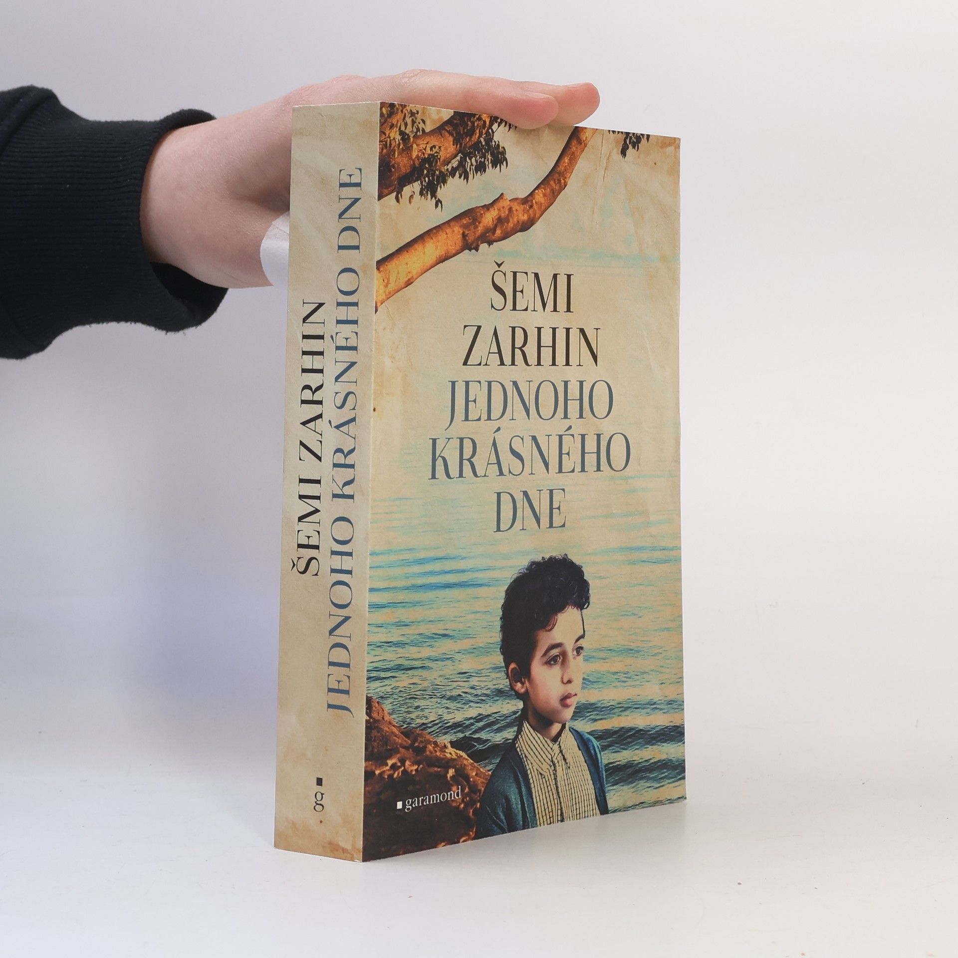 Šimi Zarchin Jednoho krásného dne