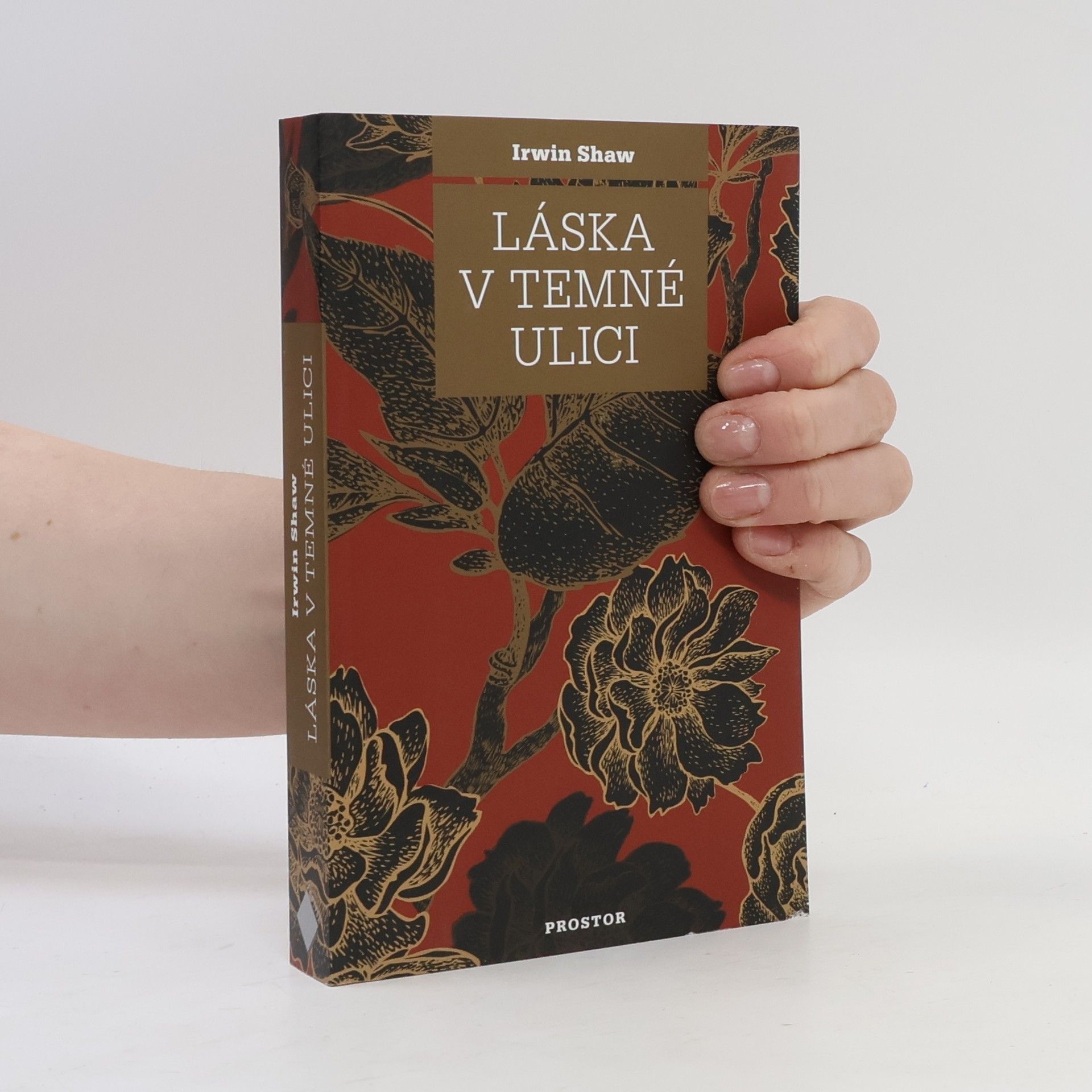 Láska v temné ulici