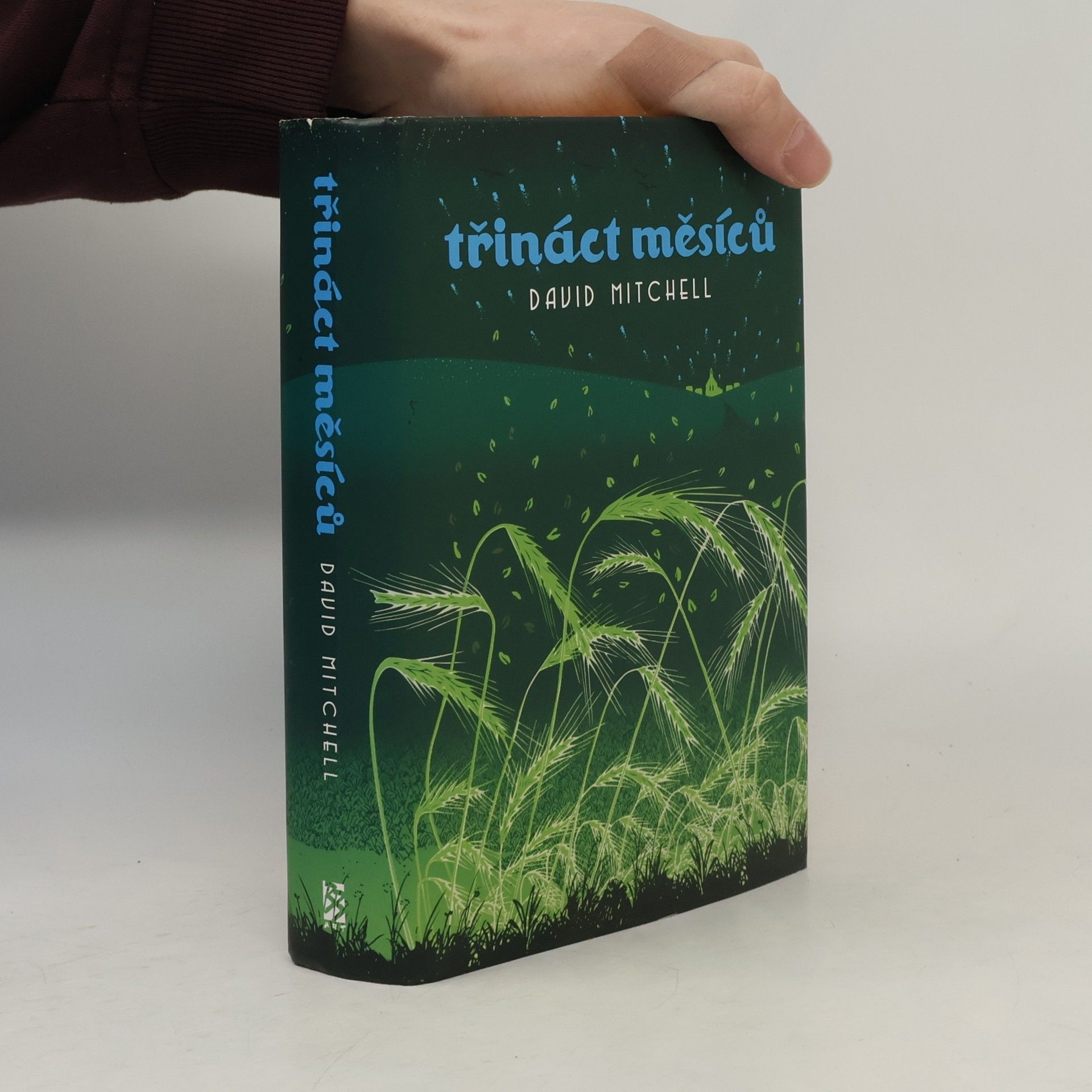 David Mitchell Třináct měsíců