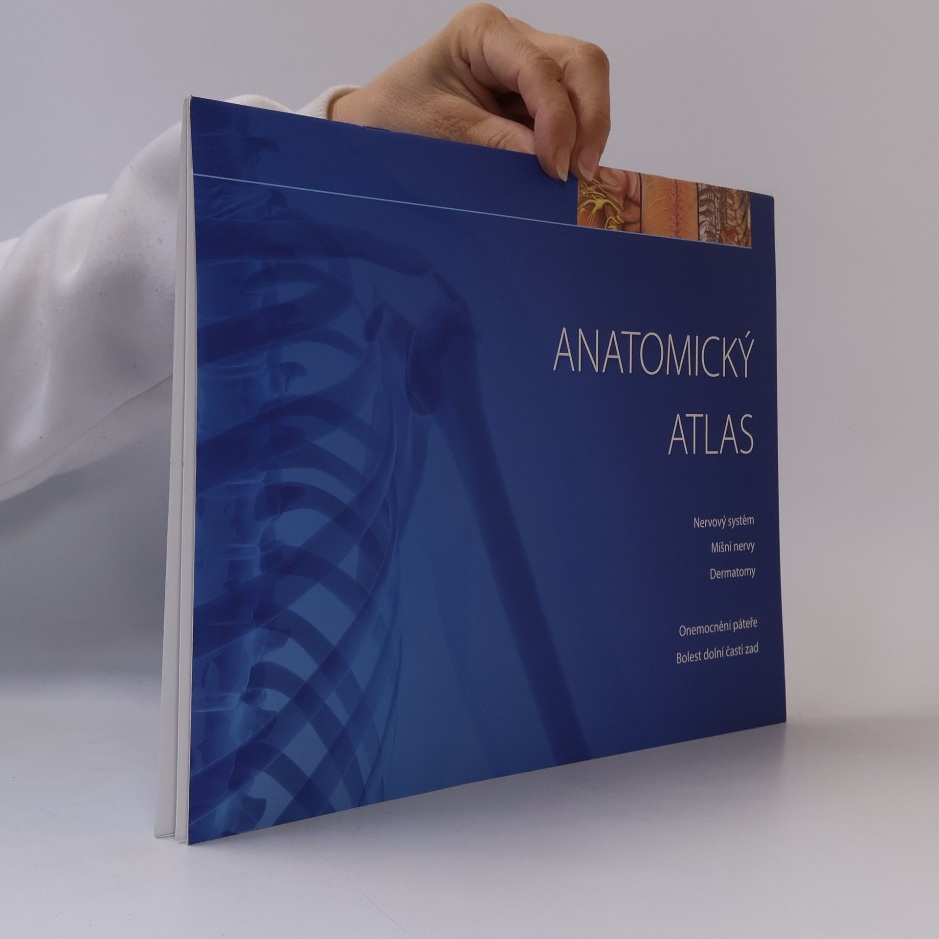 Collectif d'auteurs Anatomický atlas