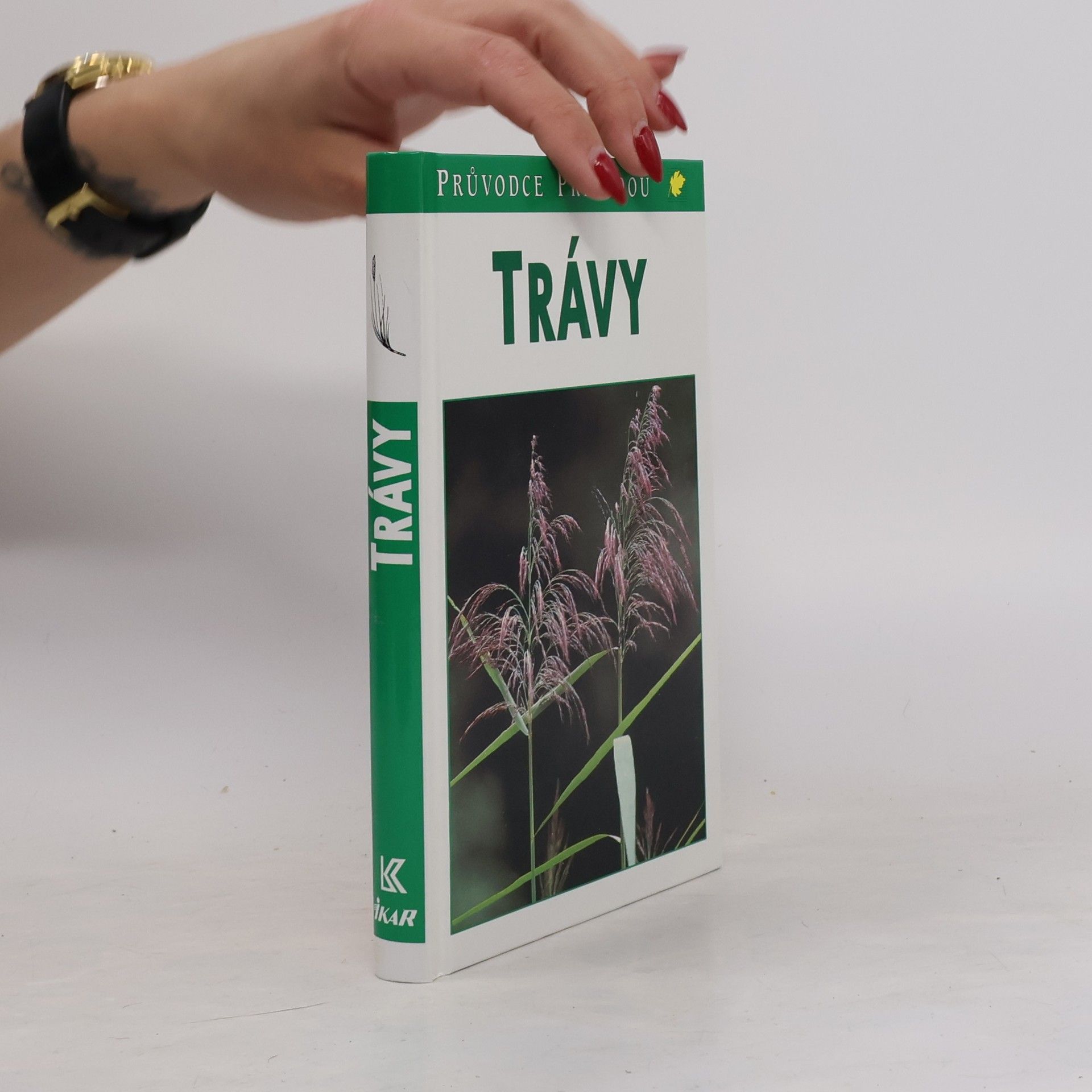 Trávy : lipnicovité, šáchorovité, sítinovité a rostliny podobné travám Evropy