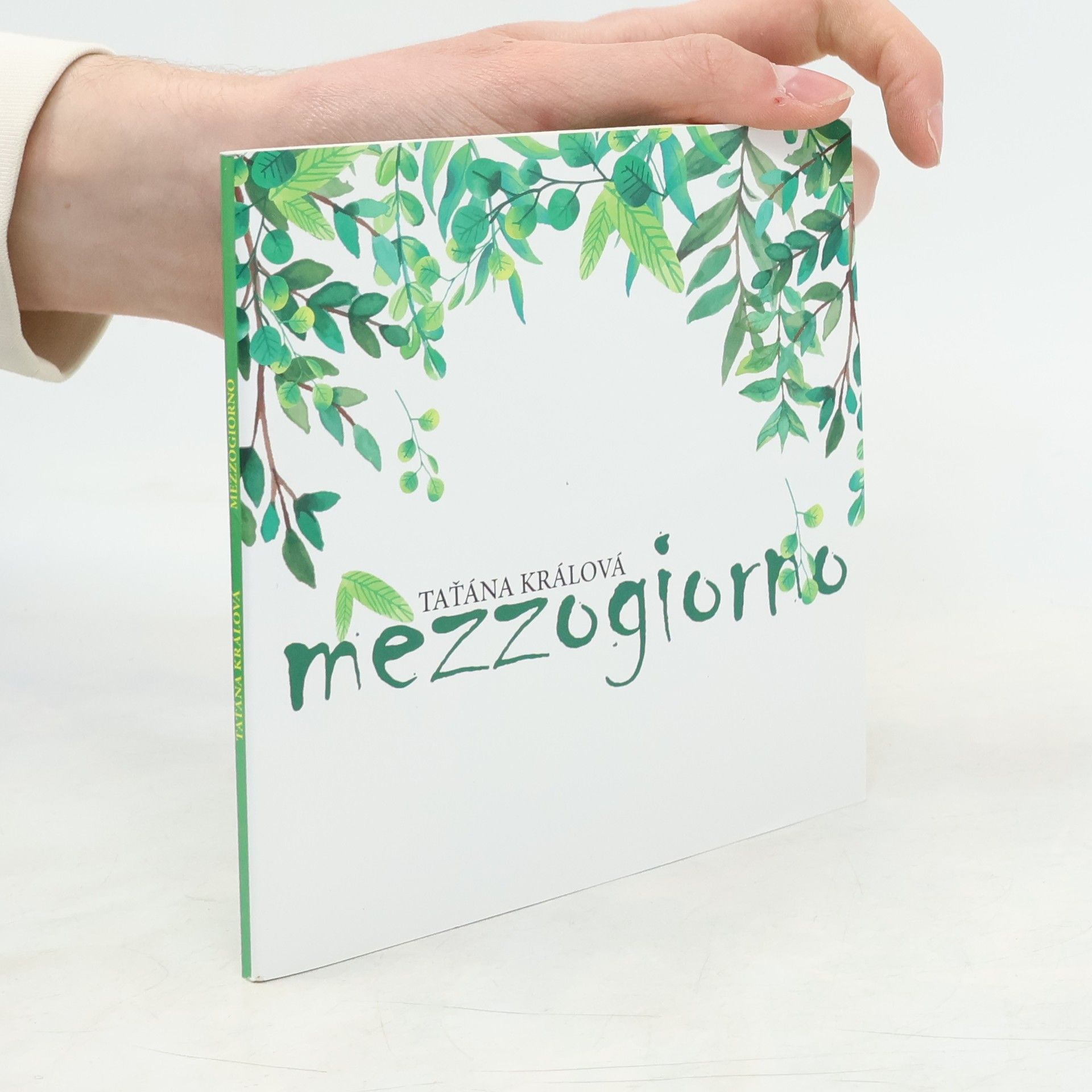 Taťána Králová Mezzogiorno