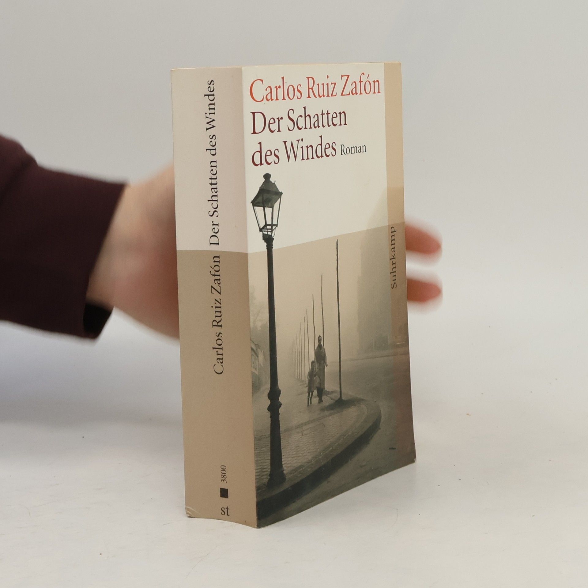 Carlos Ruiz Zafón Der Schatten des Windes