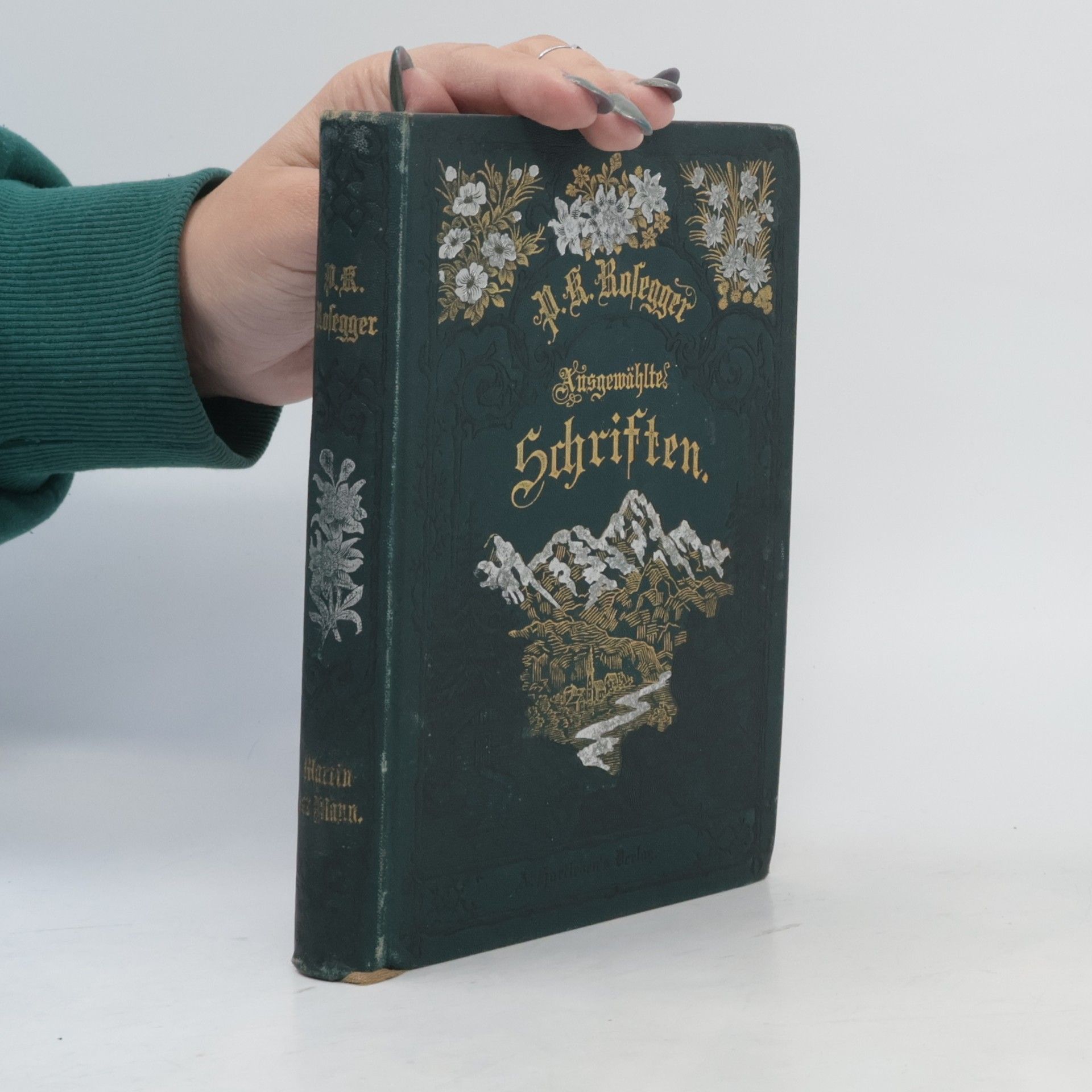 P. K. Rosegger Ausgewählte Schriften. Der Waldschulmeister