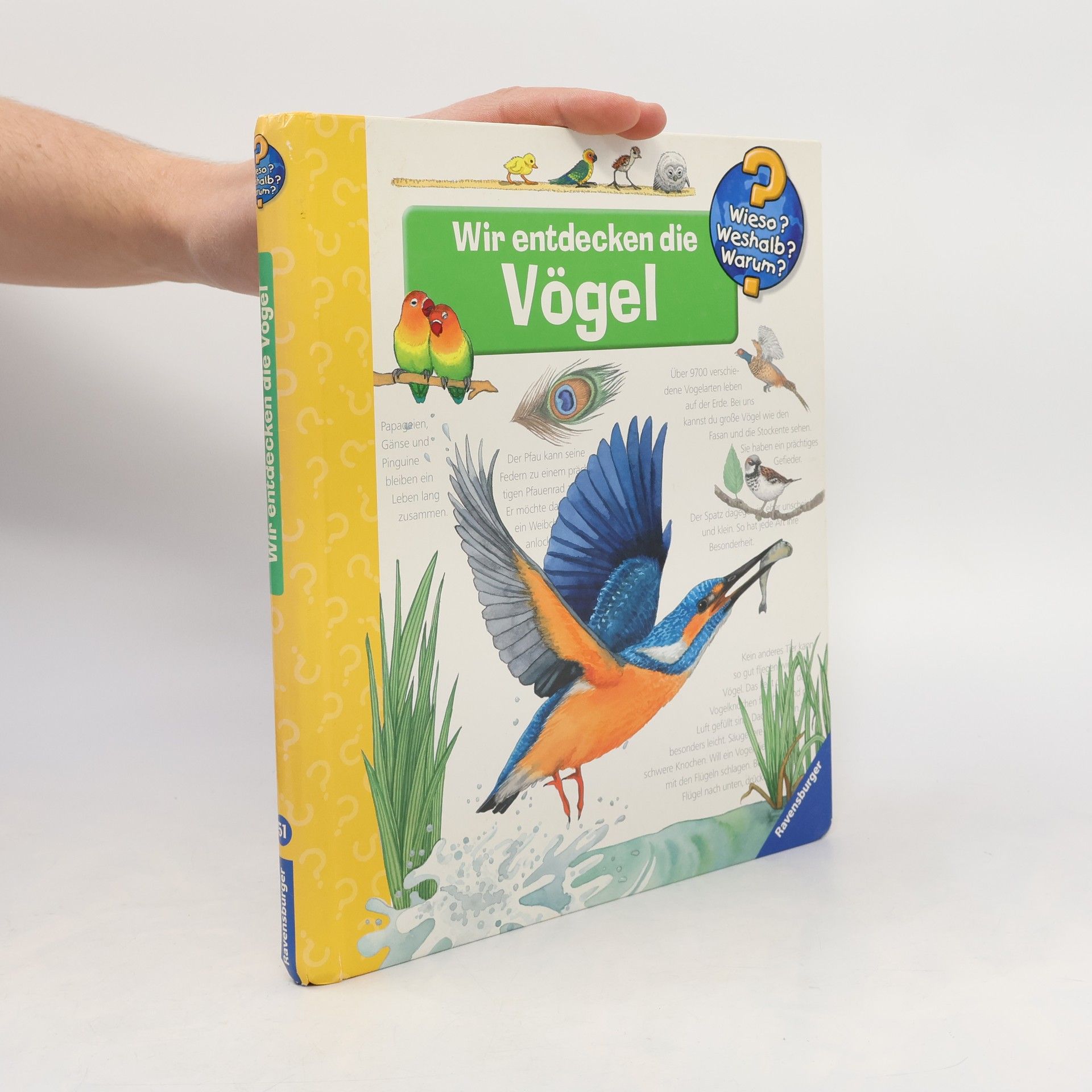 Anne Ebert Wir entdecken die Vögel