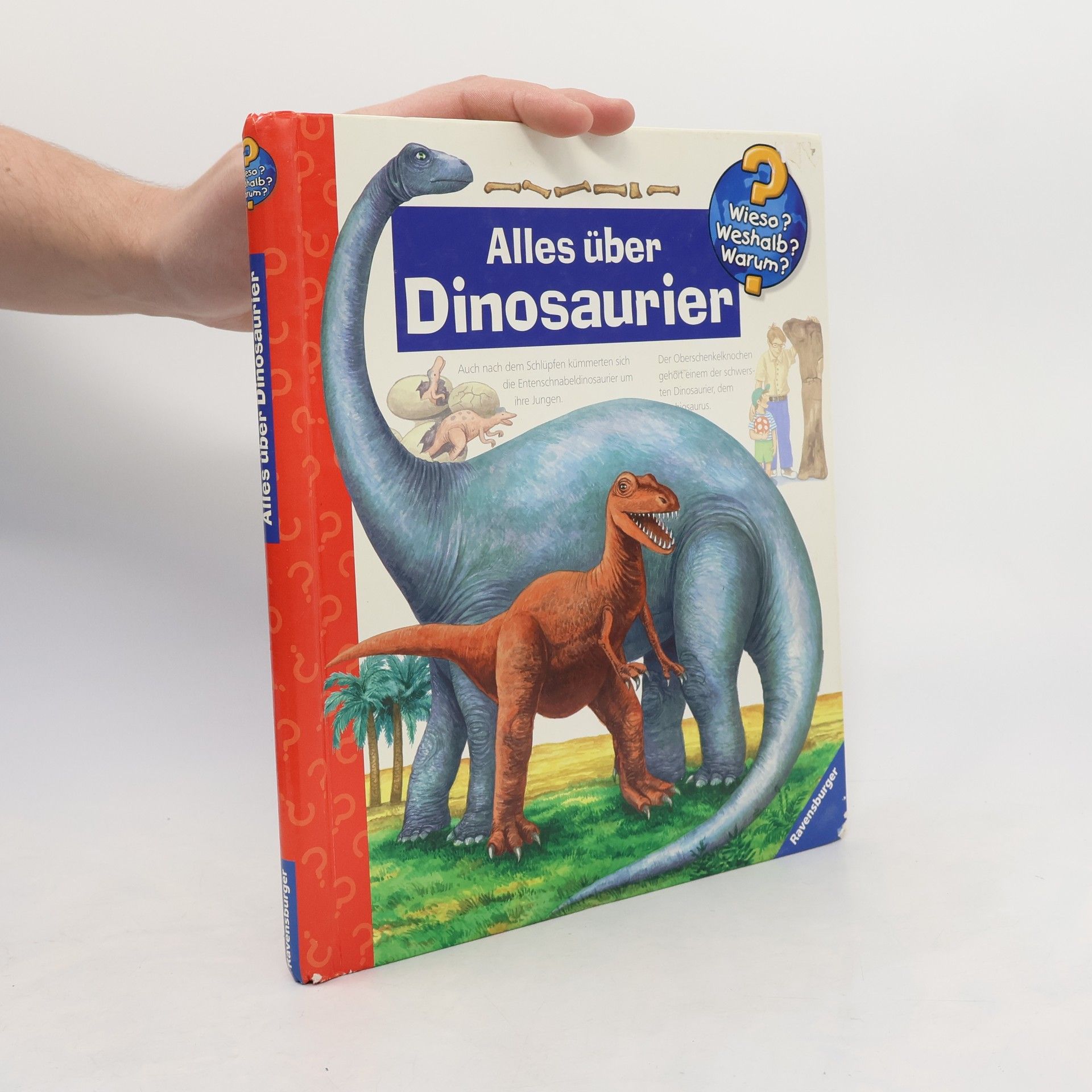 Patricia Mennen Alles über Dinosaurier