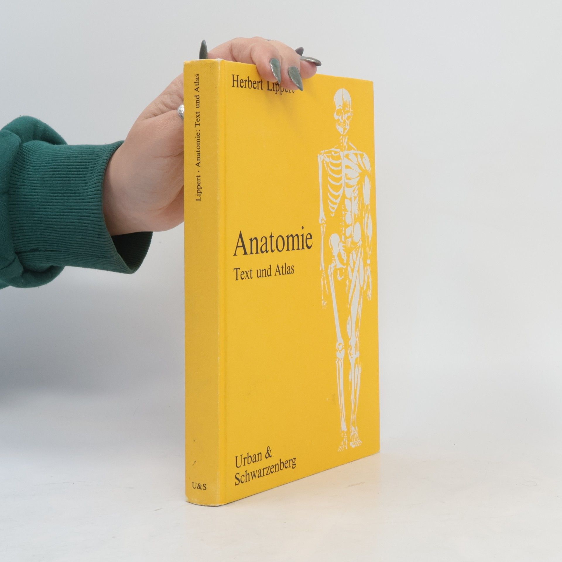 Herbert Lippert Anatomie