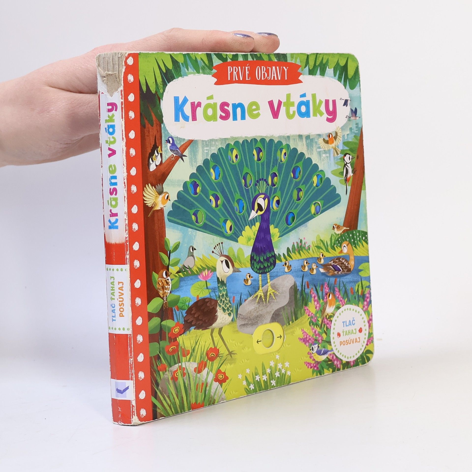 Various authors Krásne vtáky