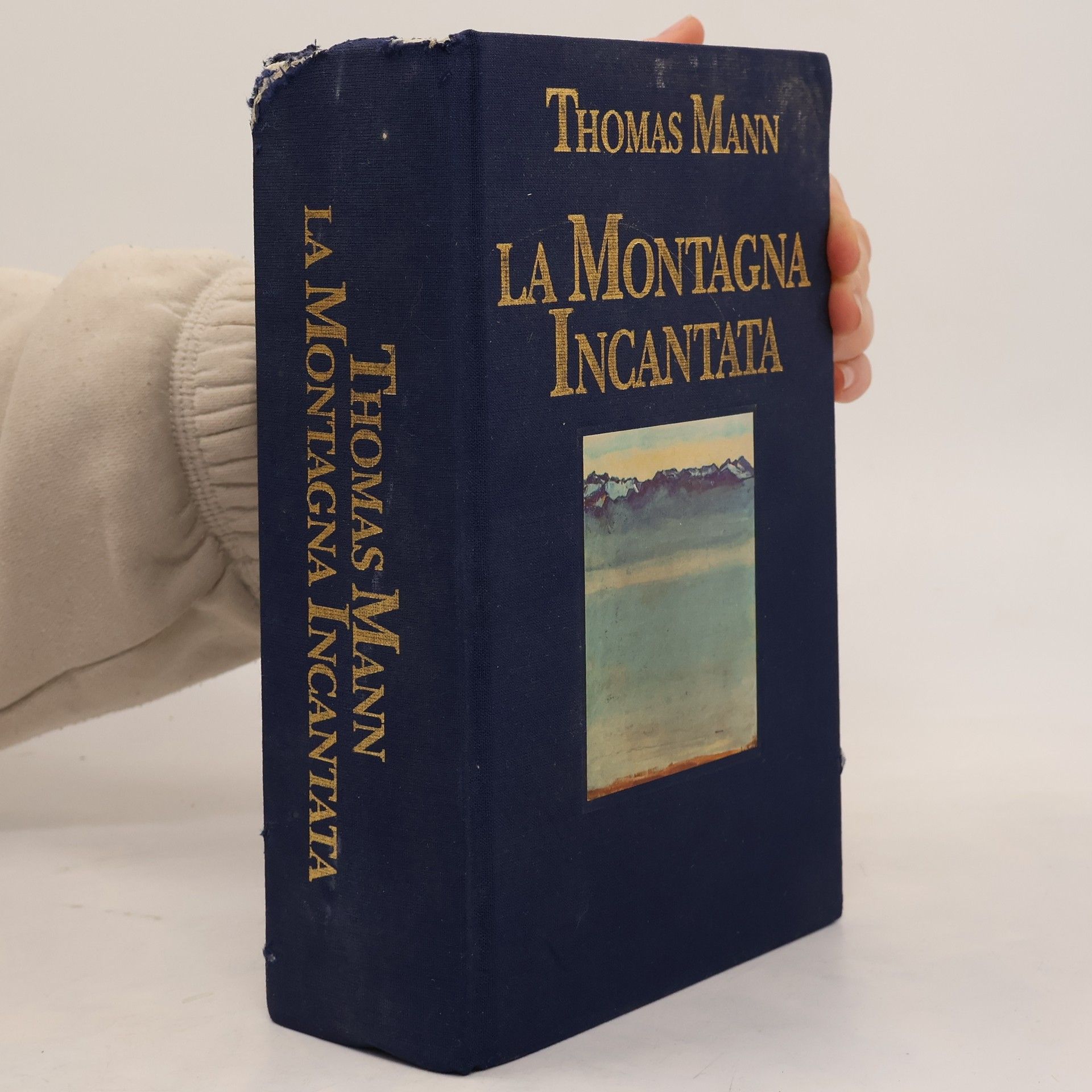 Thomas Mann La montagna incantata