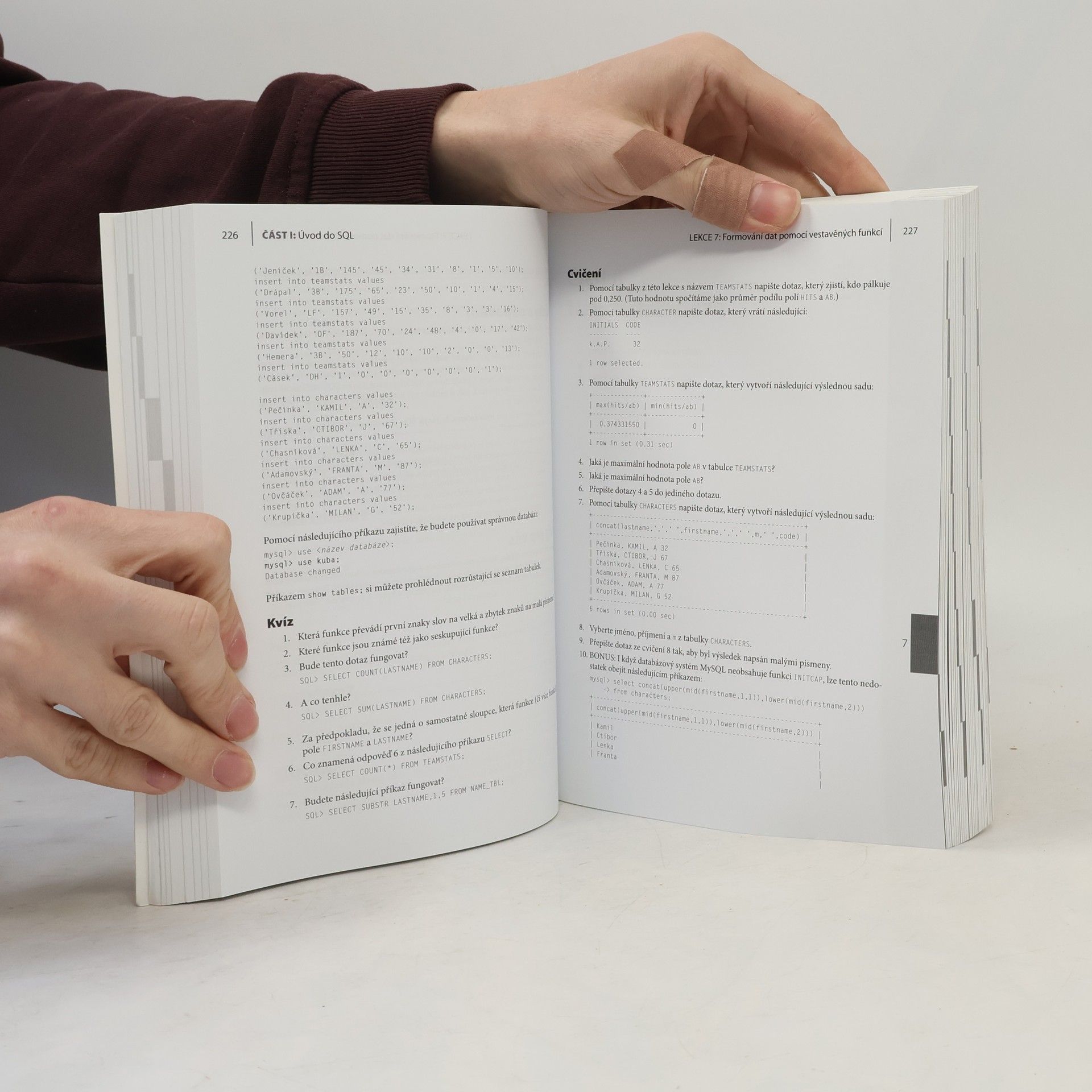 Ryan Stephens Naučte se SQL za 28 dní
