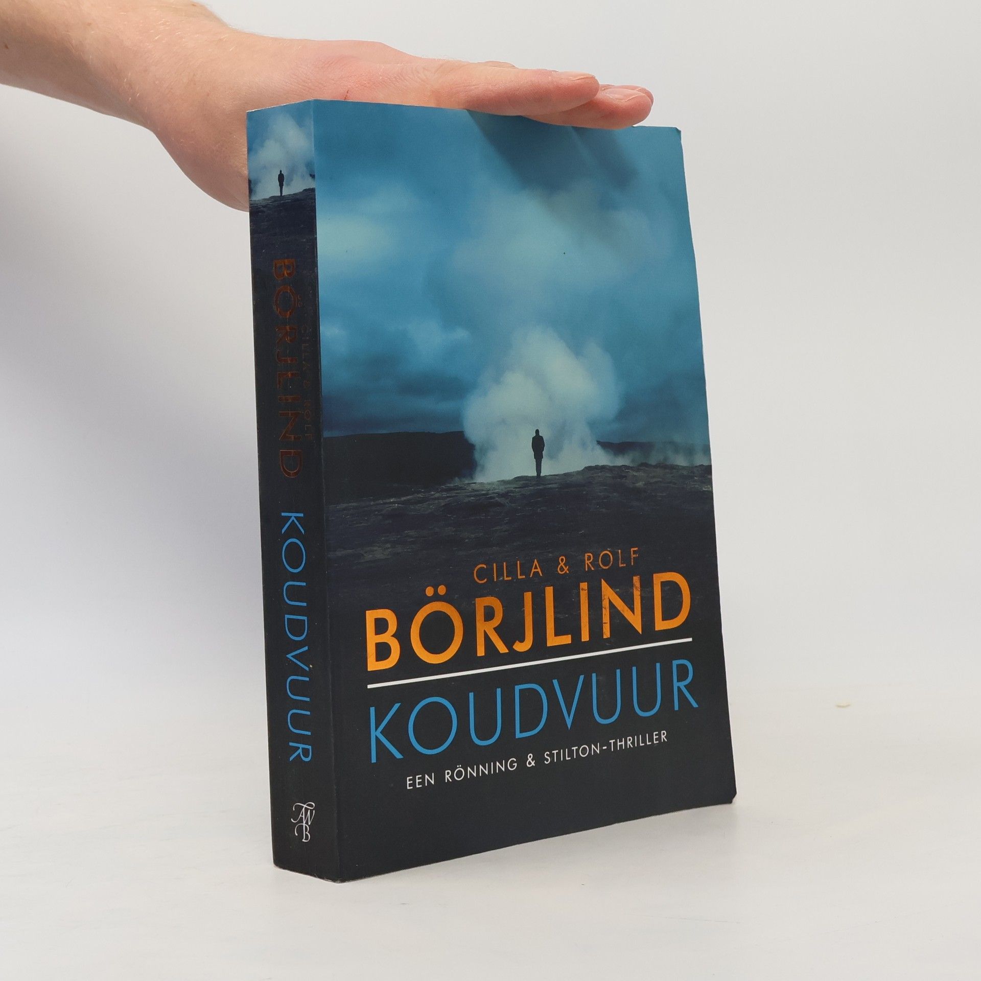 Cilla Börjlind Rönning & Stilton serie - 5: Koudvuur