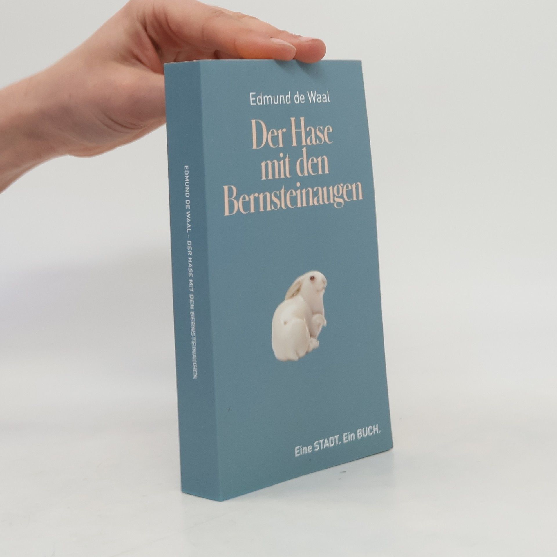 Edmund de Waal Der Hase mit den Bernsteinaugen