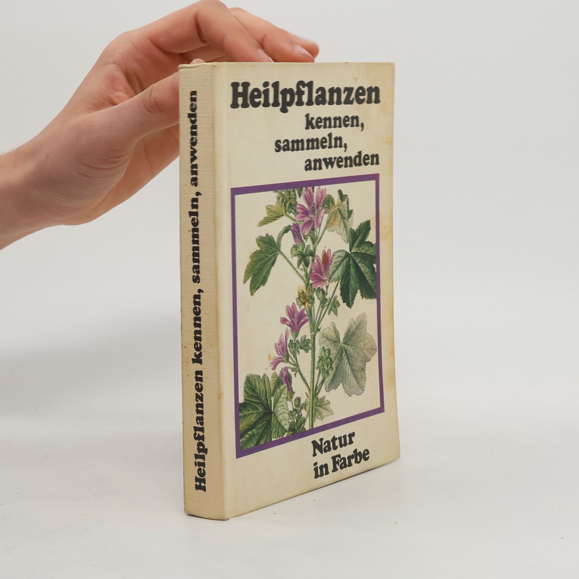 Autores varios Heilpflanzen kennen, sammeln, anwenden