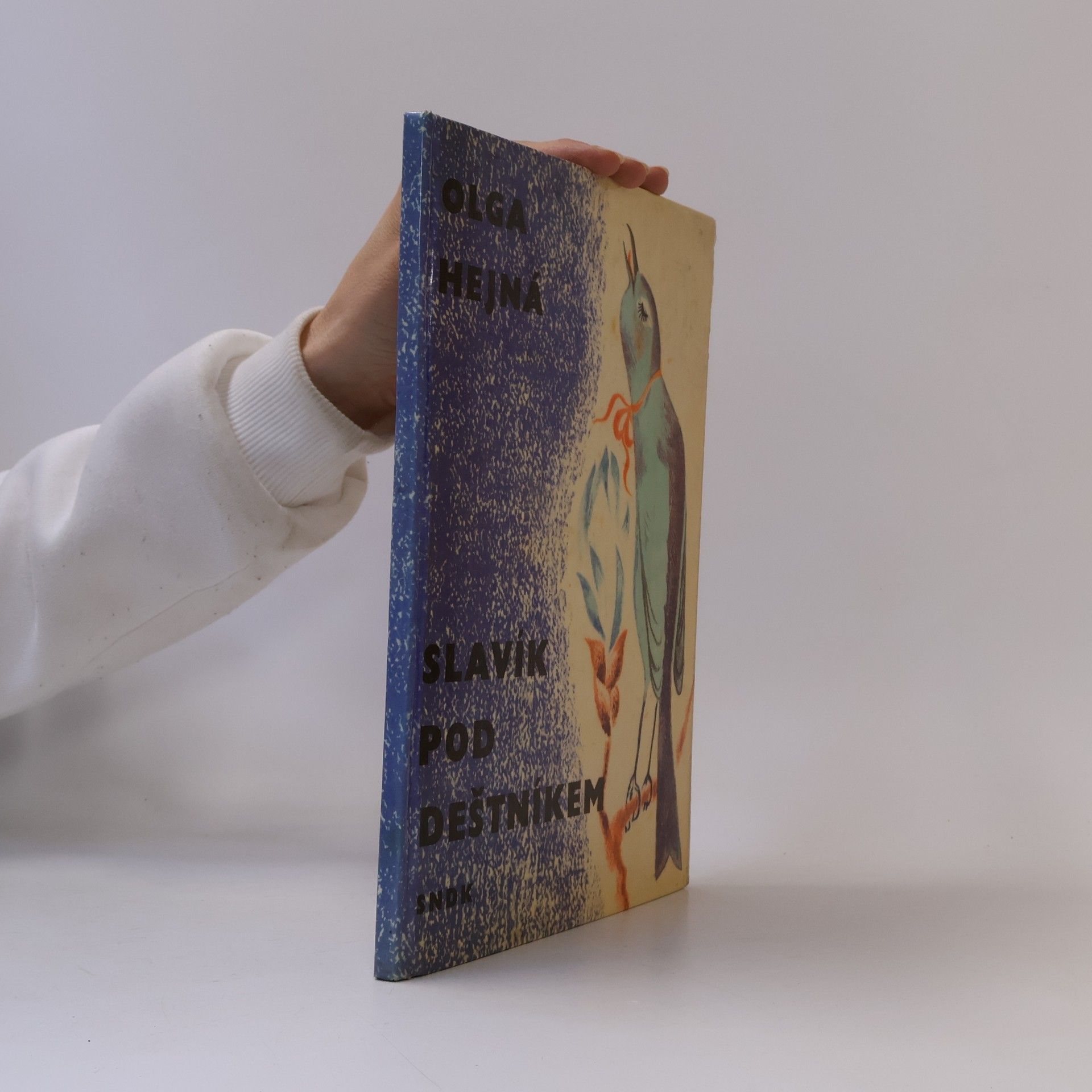 Miloslav Hejný Slavík pod deštníkem