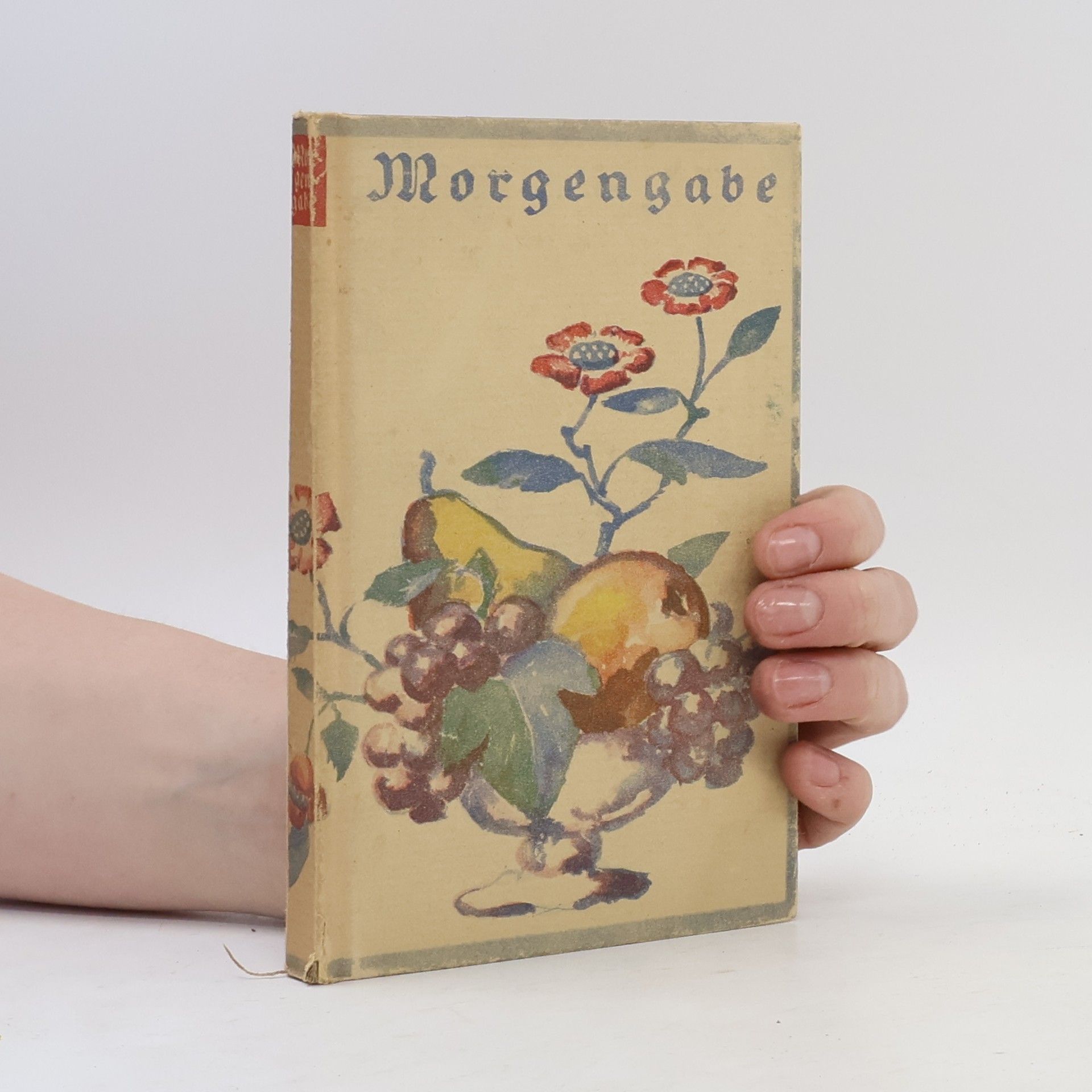 Kolektiv autorů Morgengabe